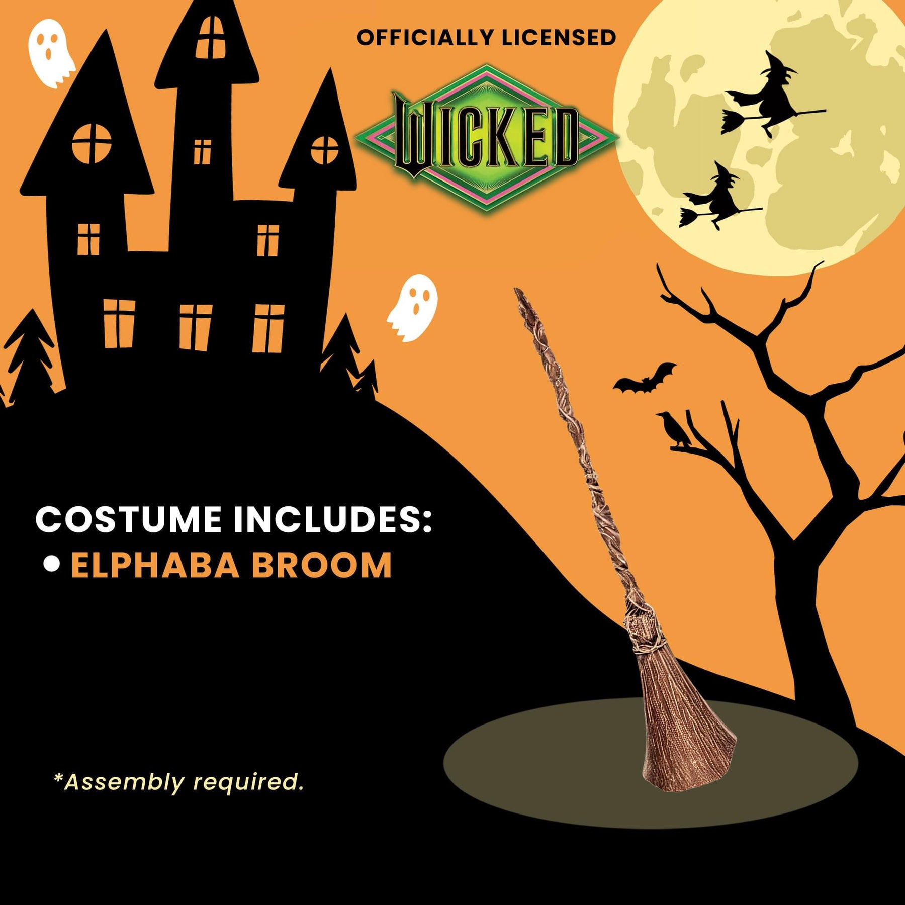 Wicked Elphaba Broom Adult Costume Accessory