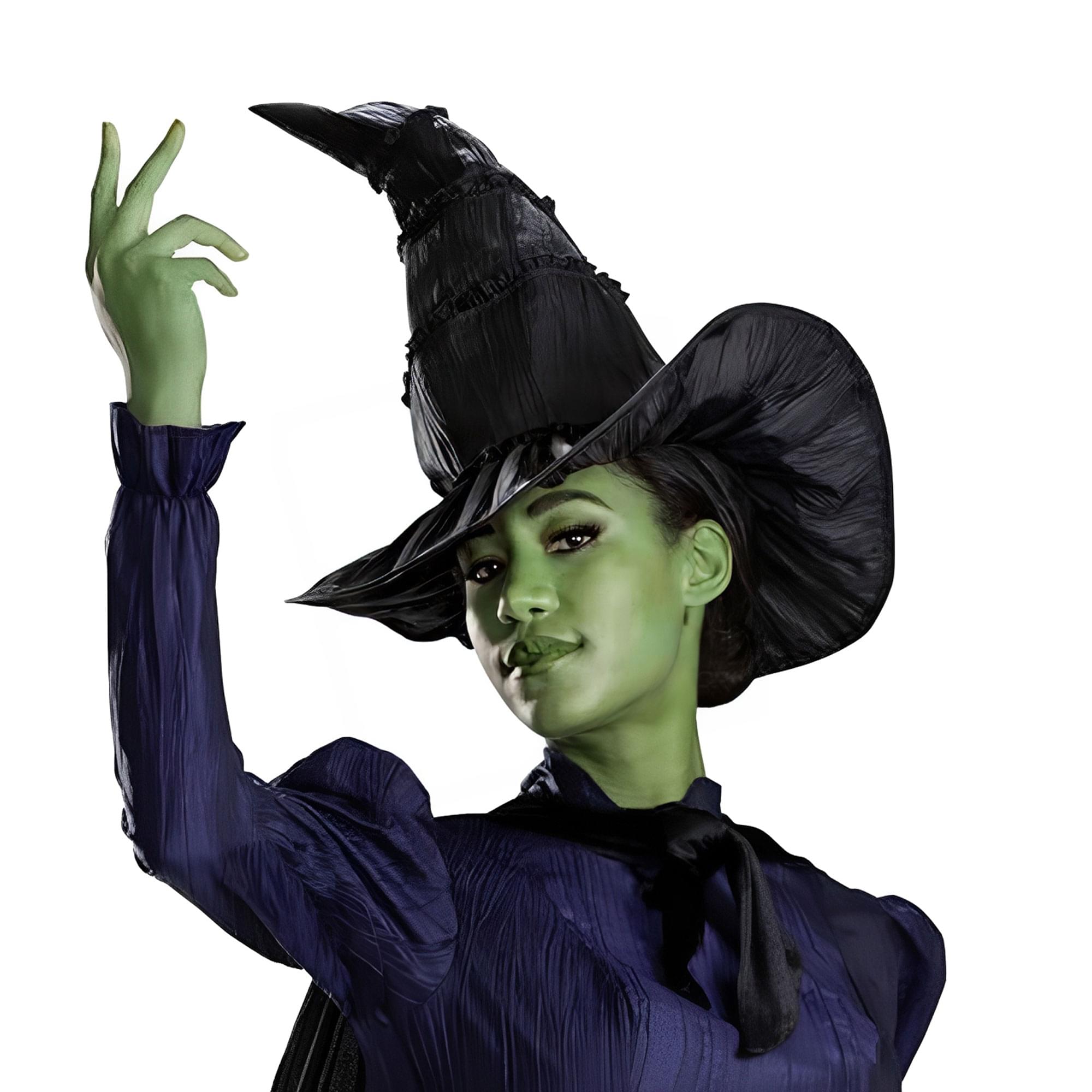 Wicked Elphaba Adult Costume Hat | One Size Fits Most