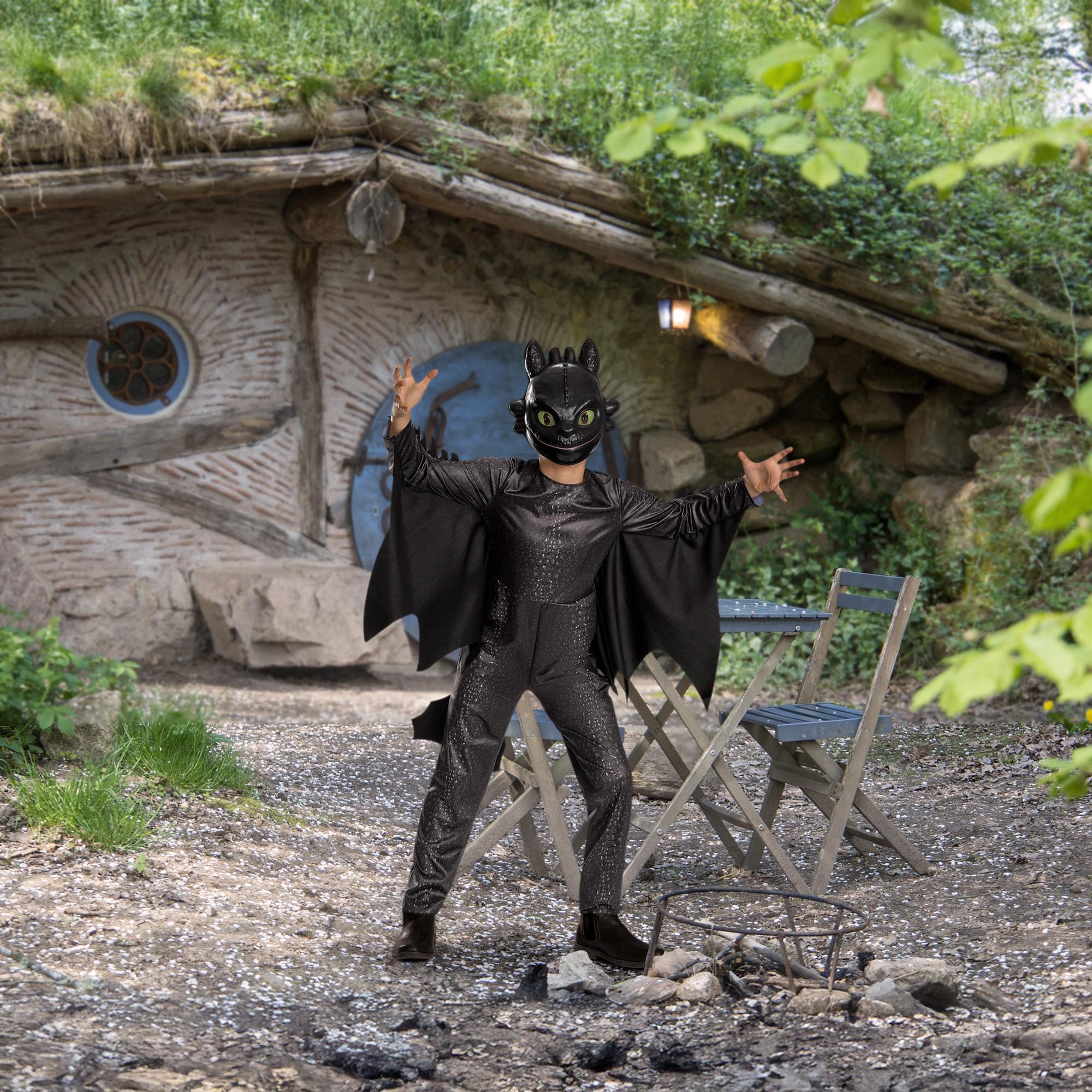 How To Train Your Dragon Toothless Classic Child Costume