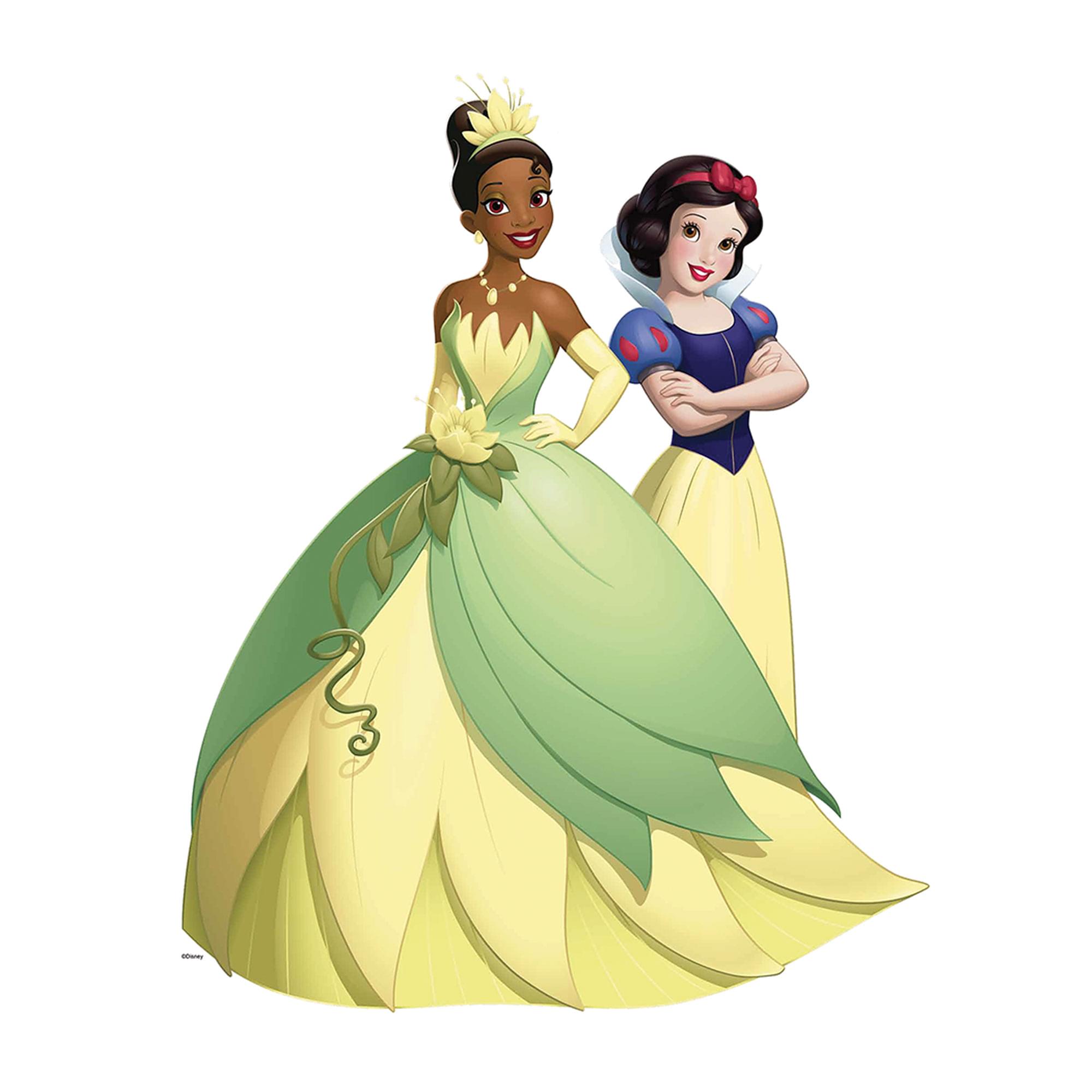 Disney Princess Treat Your Trunk Kit