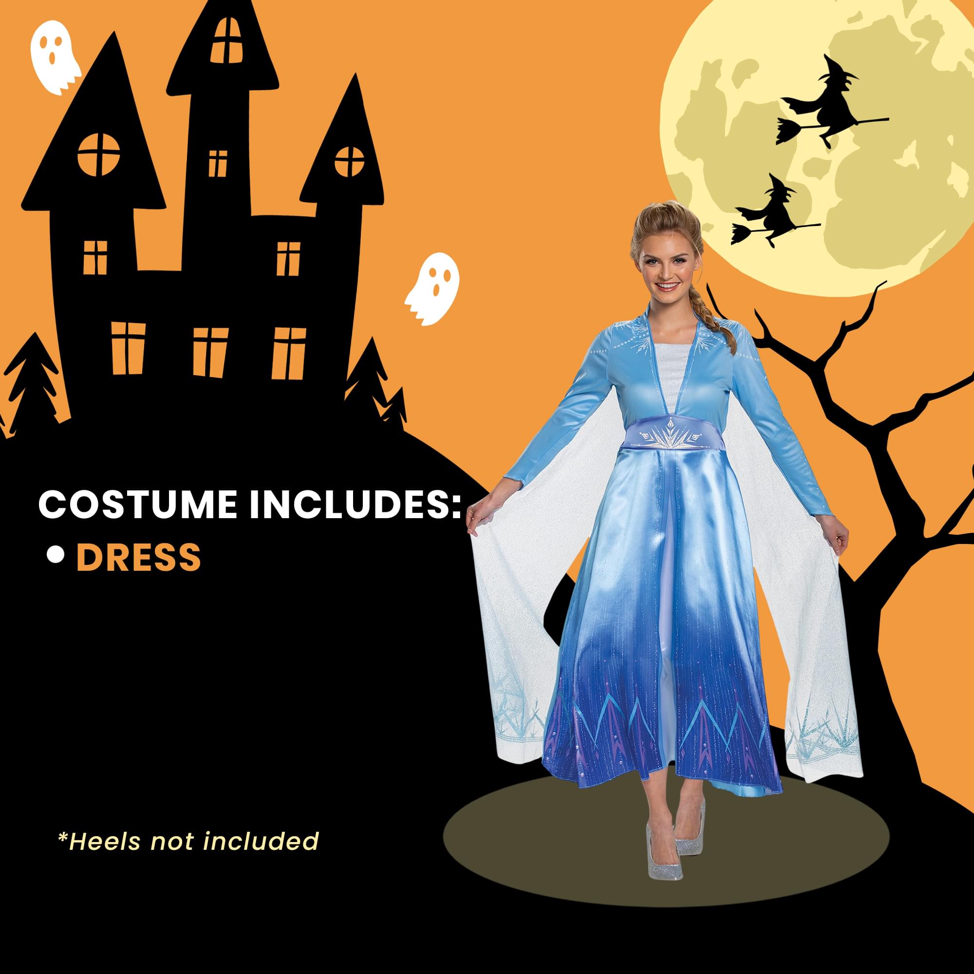 Disney Frozen 2 Elsa Deluxe Adult Costume