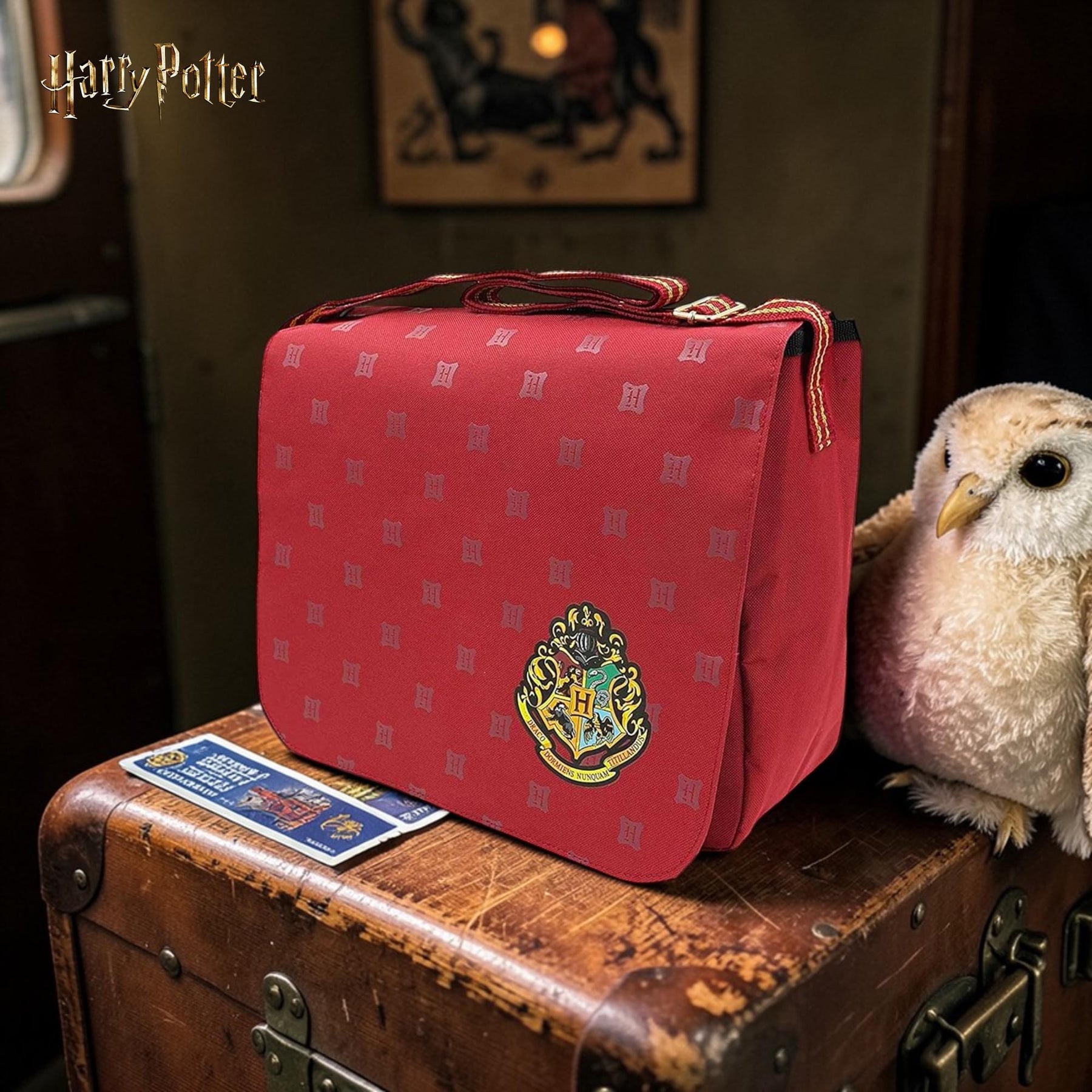 Harry Potter Despatch Bag | 11 x 13.5 Inches