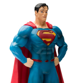 Eaglemoss DC Comics Superman and Wonder Woman Plus Collectibles Book and Figures