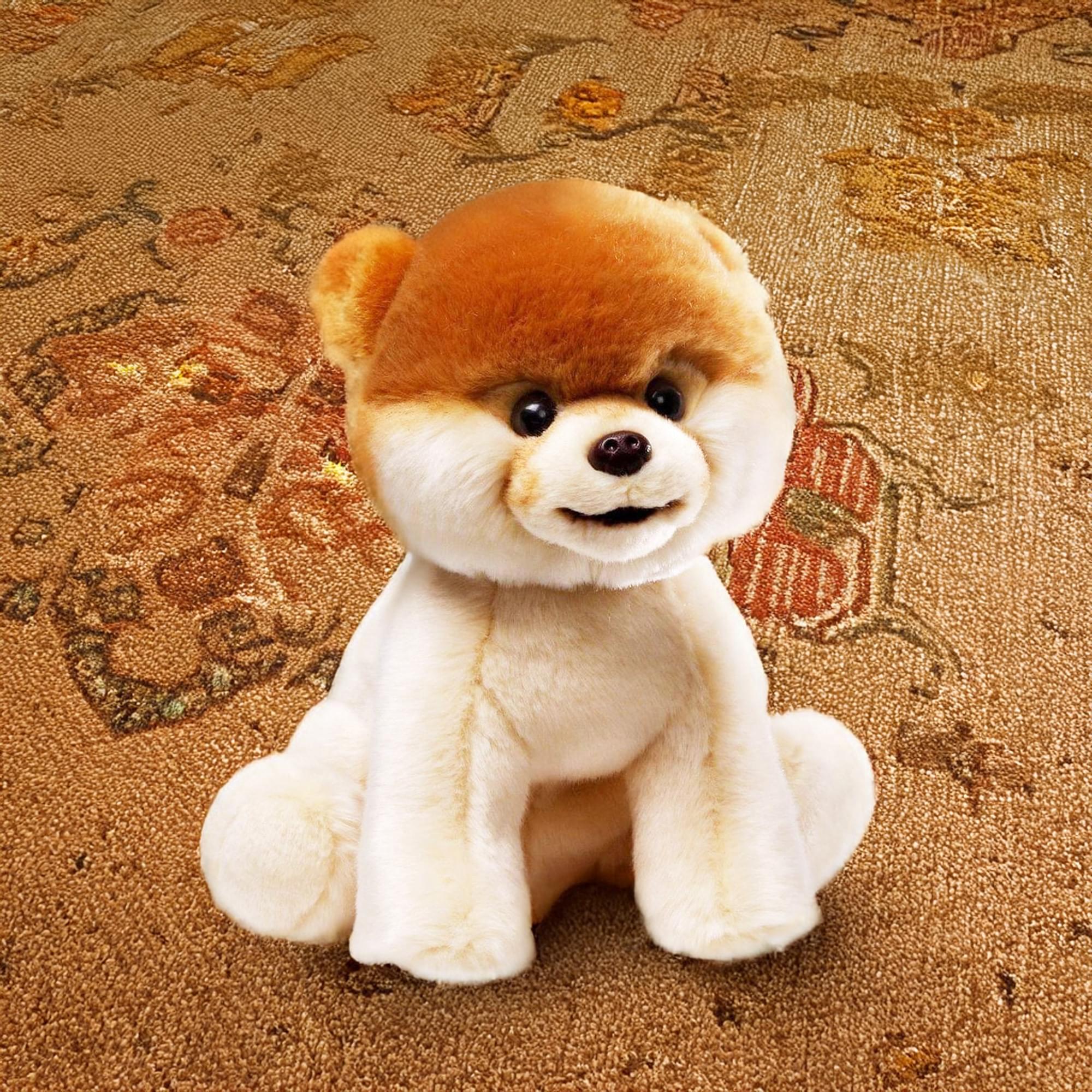 Boo-World's Cutest Dog 6" Plush