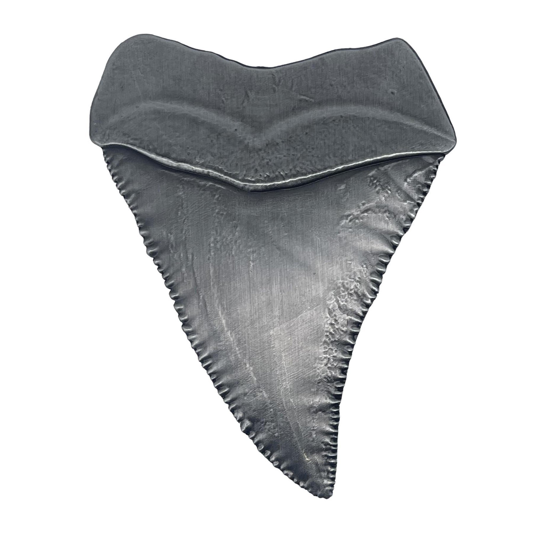 Jaws 50th Anniversary Shark Tooth Limited Edition Metal Medallion