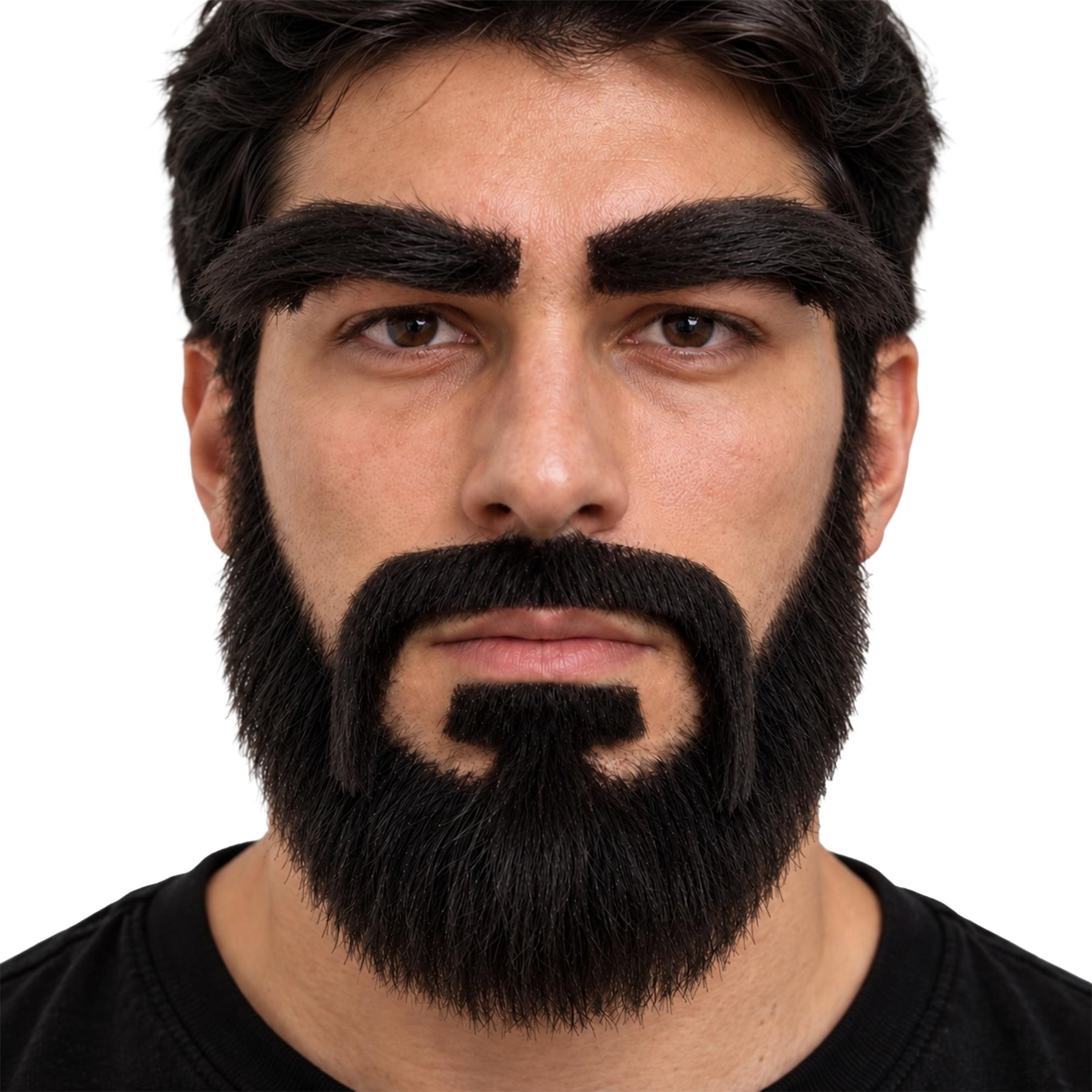 Black Moustache, Beard, and Eyebrows Costume Facial Hair Kit