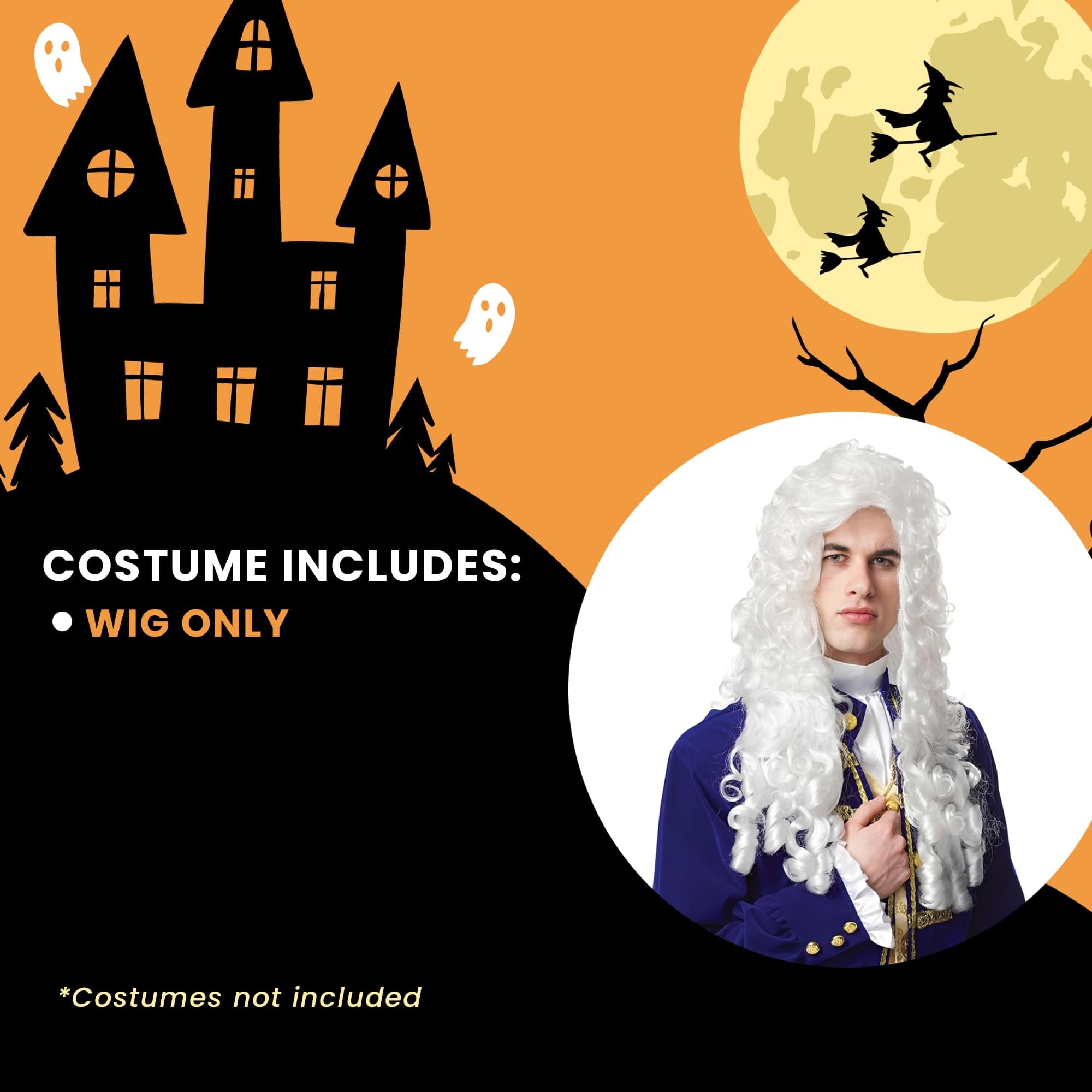 Costume Culture Nobleman Adult Costume Wig | One Size