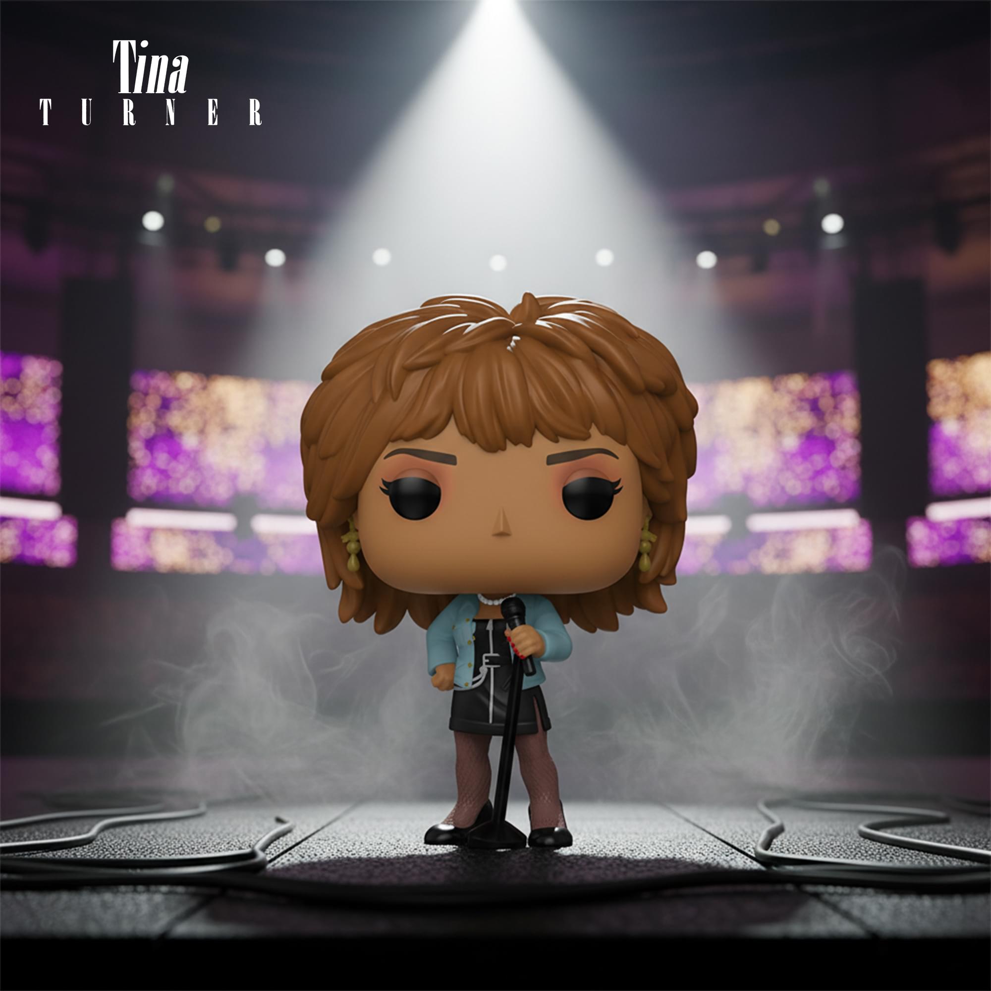 Funko POP Rocks | Tina Turner What's Love Got to Do With It