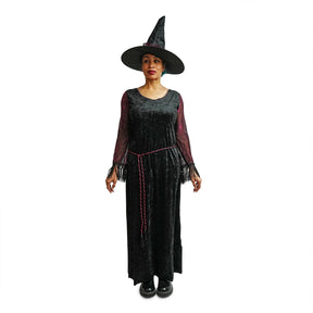 Spider Web Witch Costume