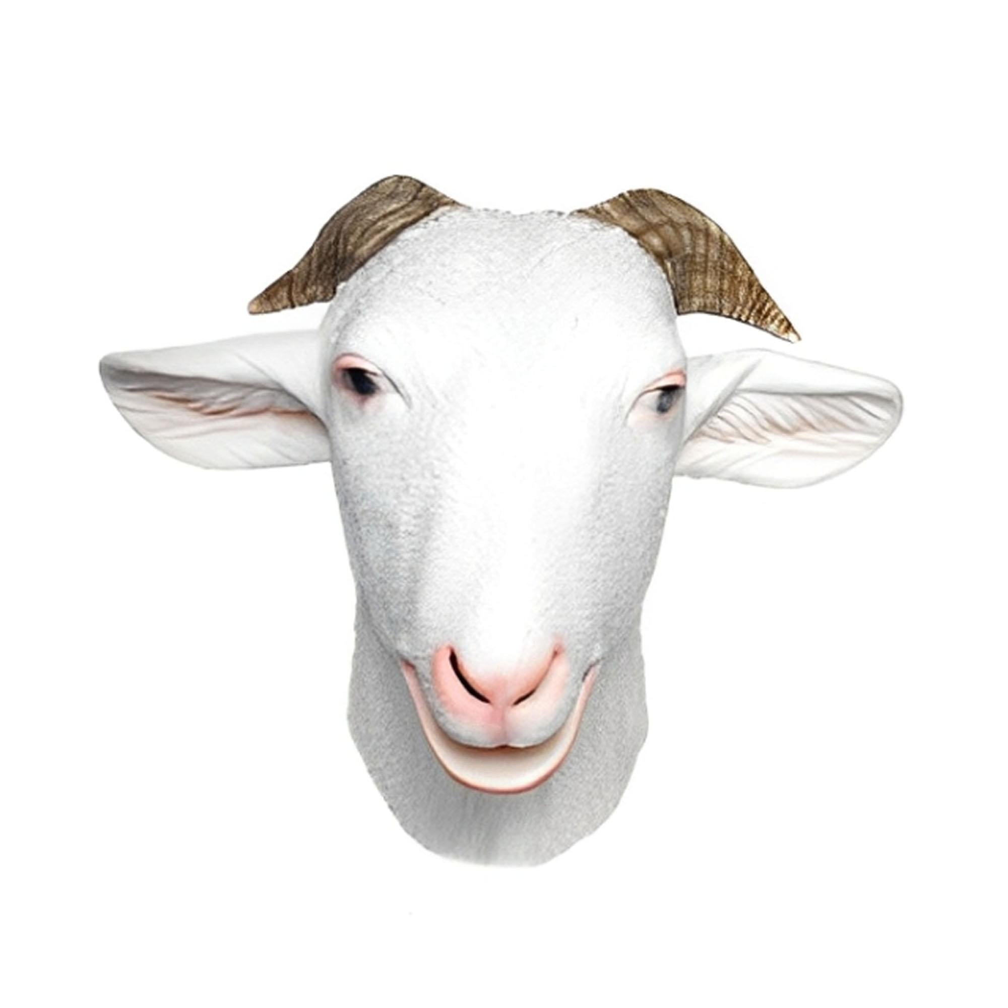G.O.A.T. Child Costume