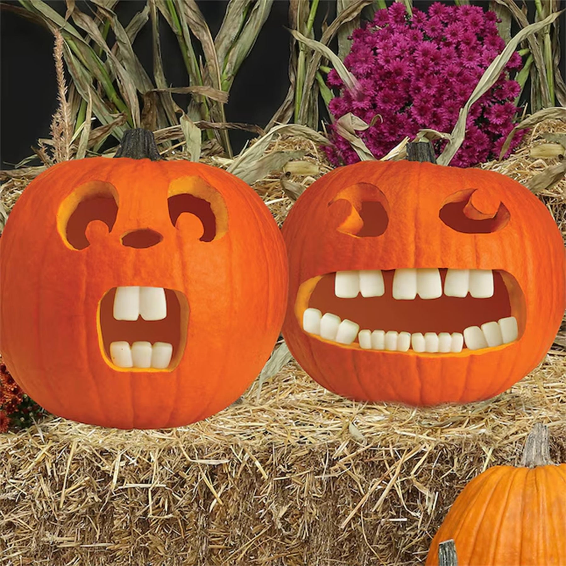 Halloween Pumpkin Accessory Kit | Buck Teeth