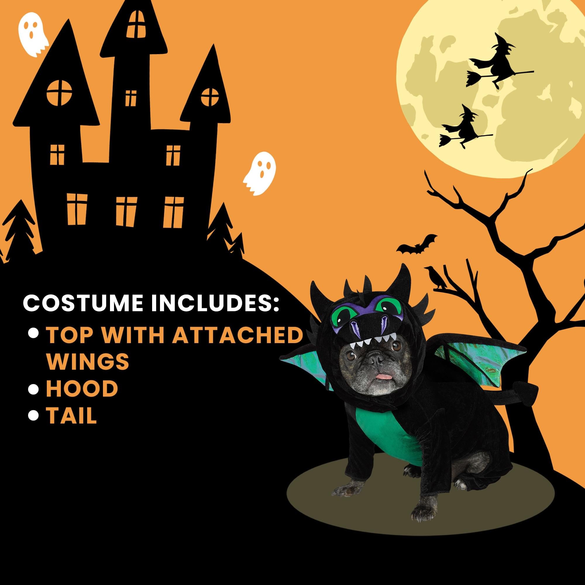 Dragon Pet Costume