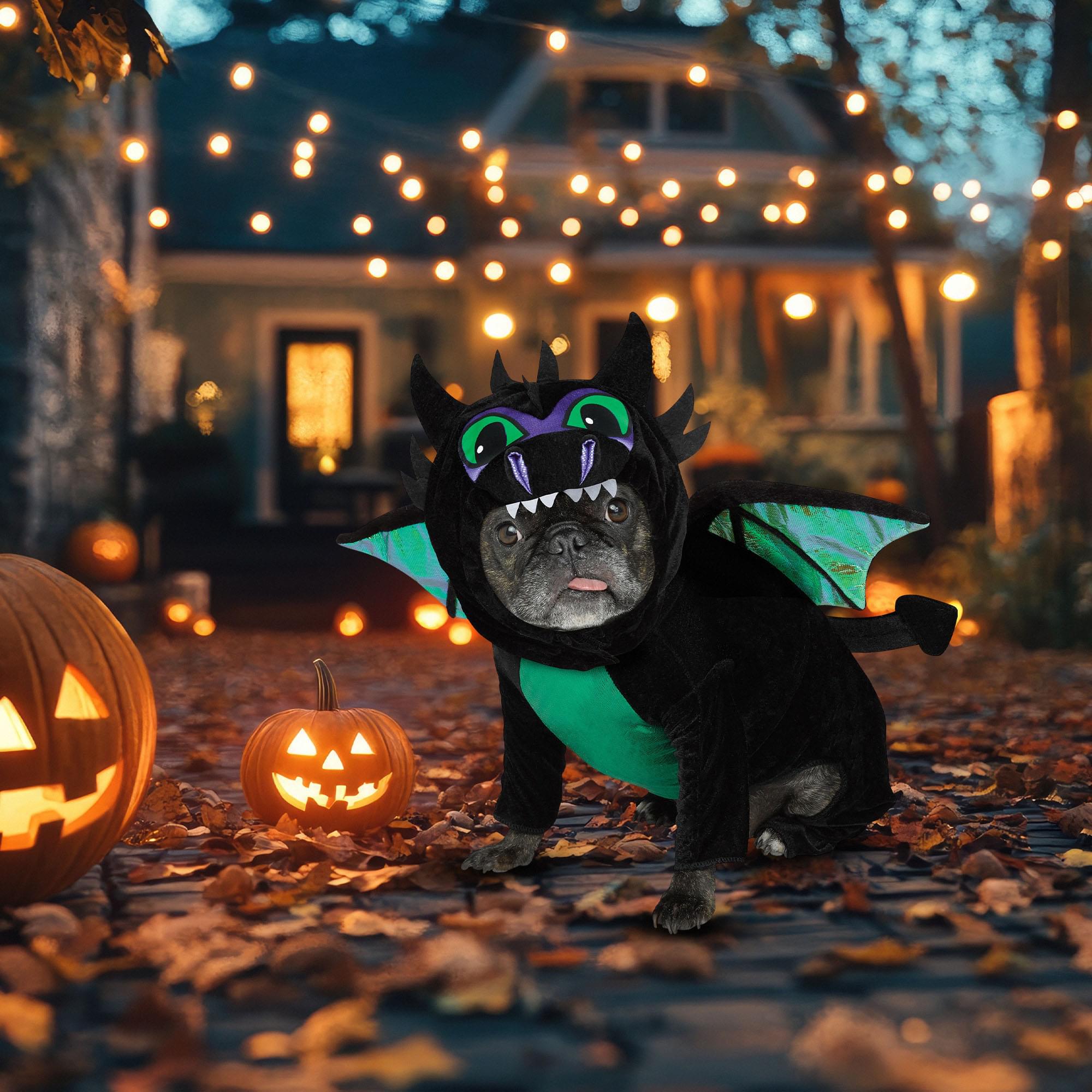Dragon Pet Costume