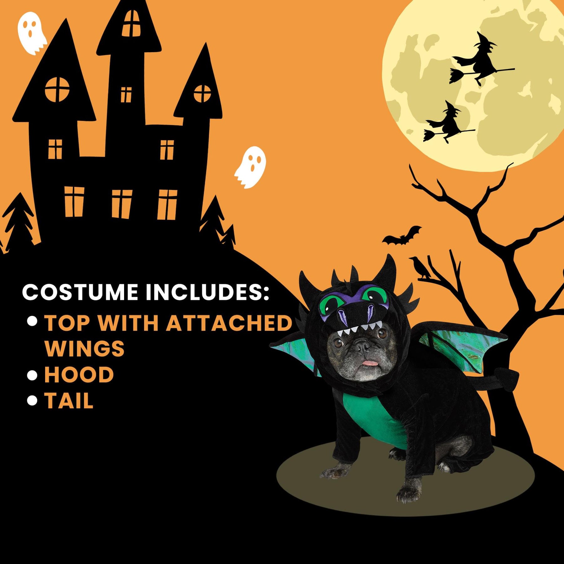 Dragon Pet Costume