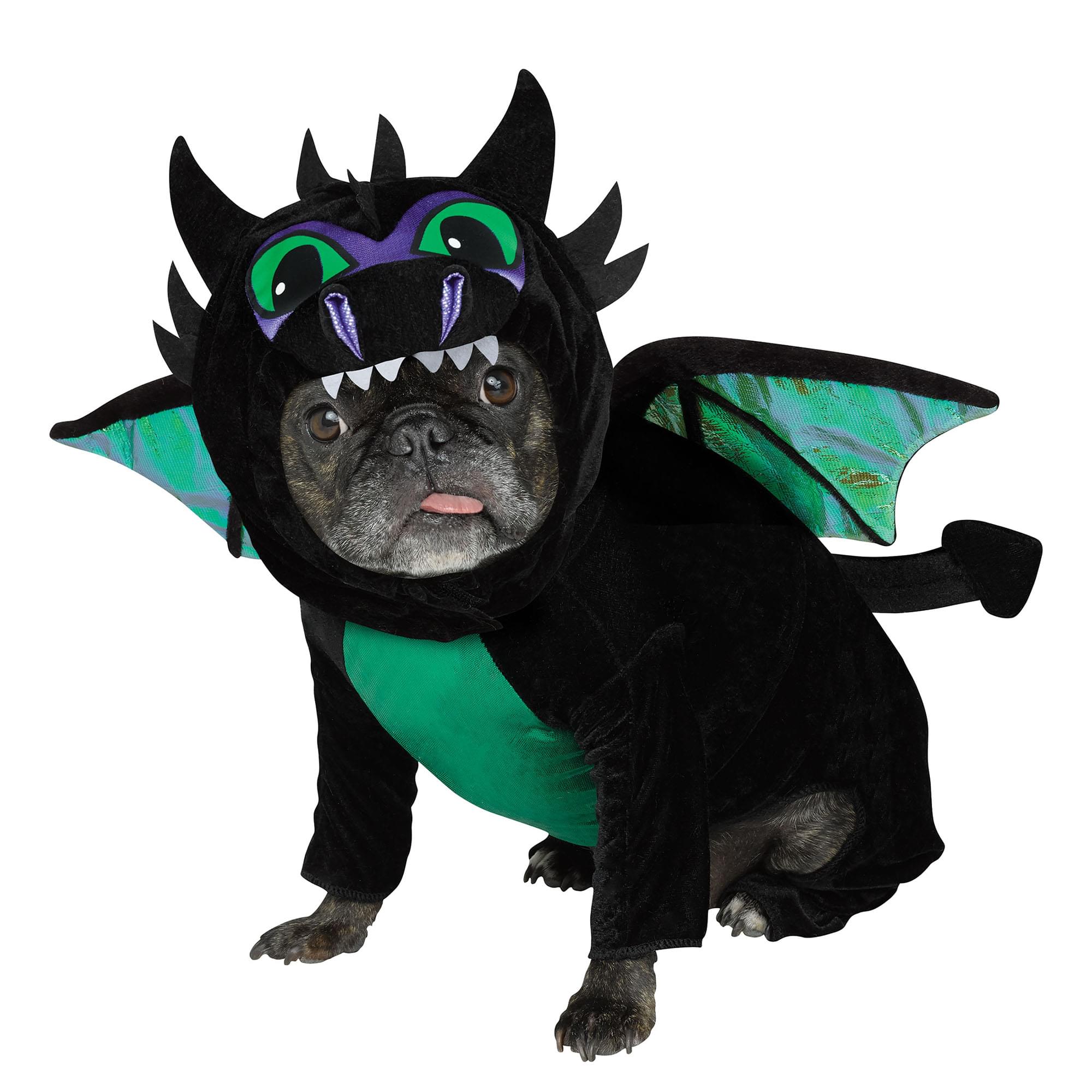Dragon Pet Costume