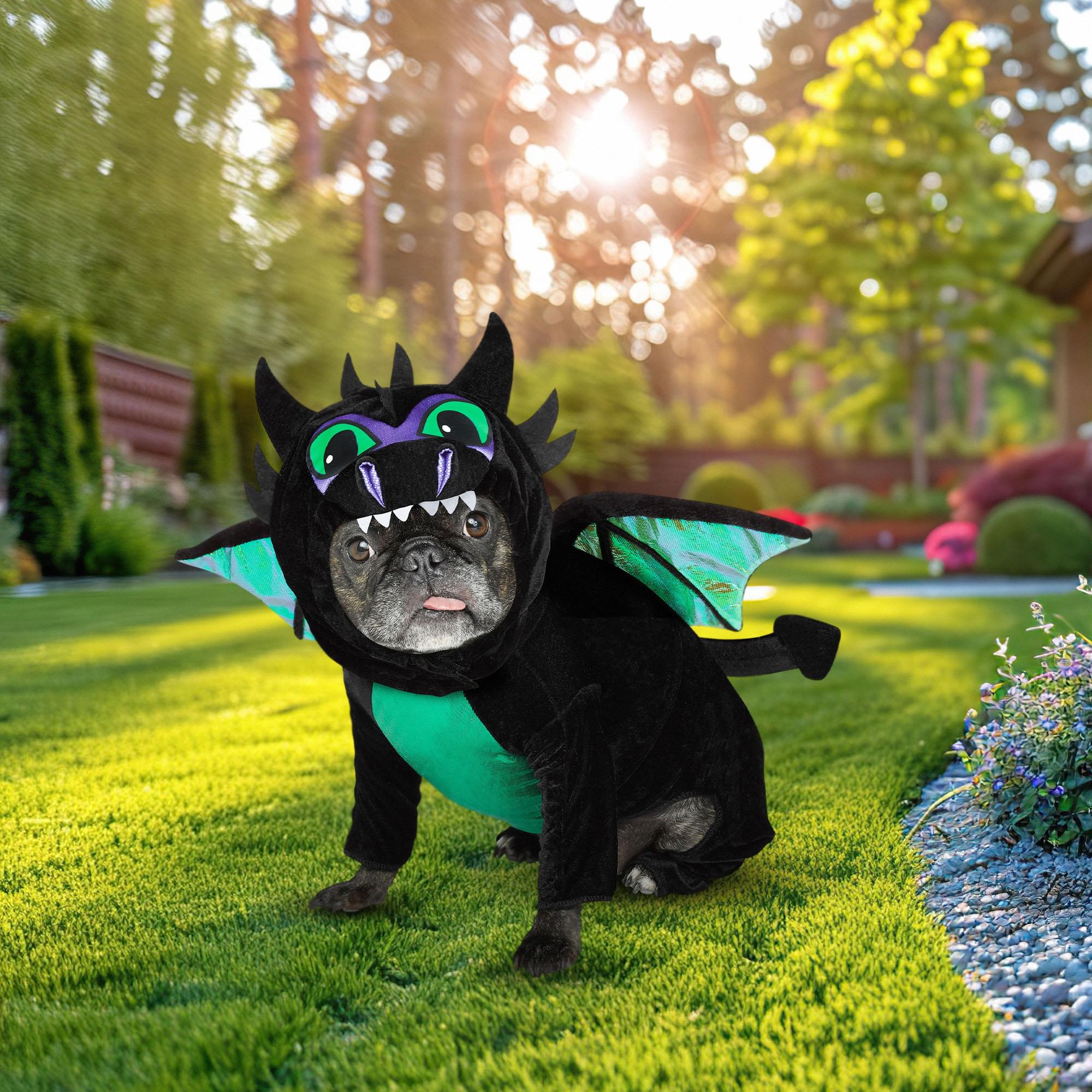 Dragon Pet Costume