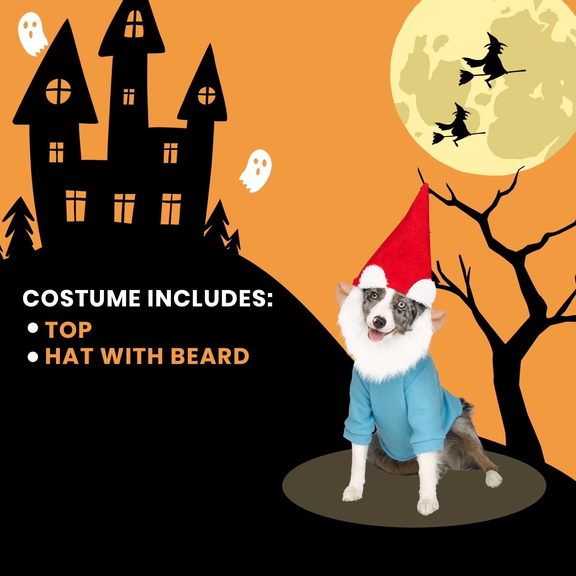 Gnome Pet Costume