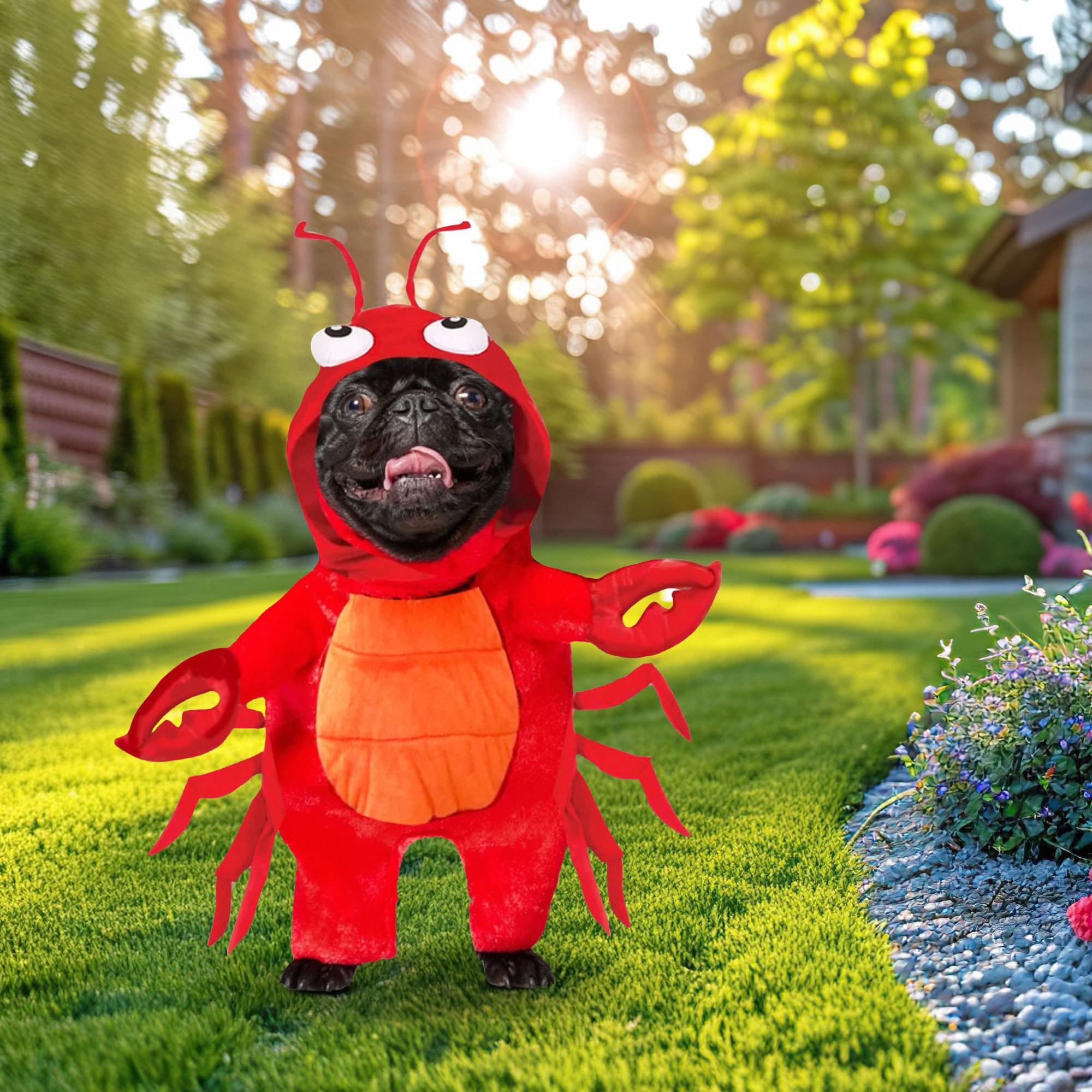 Lobster Pet Costume