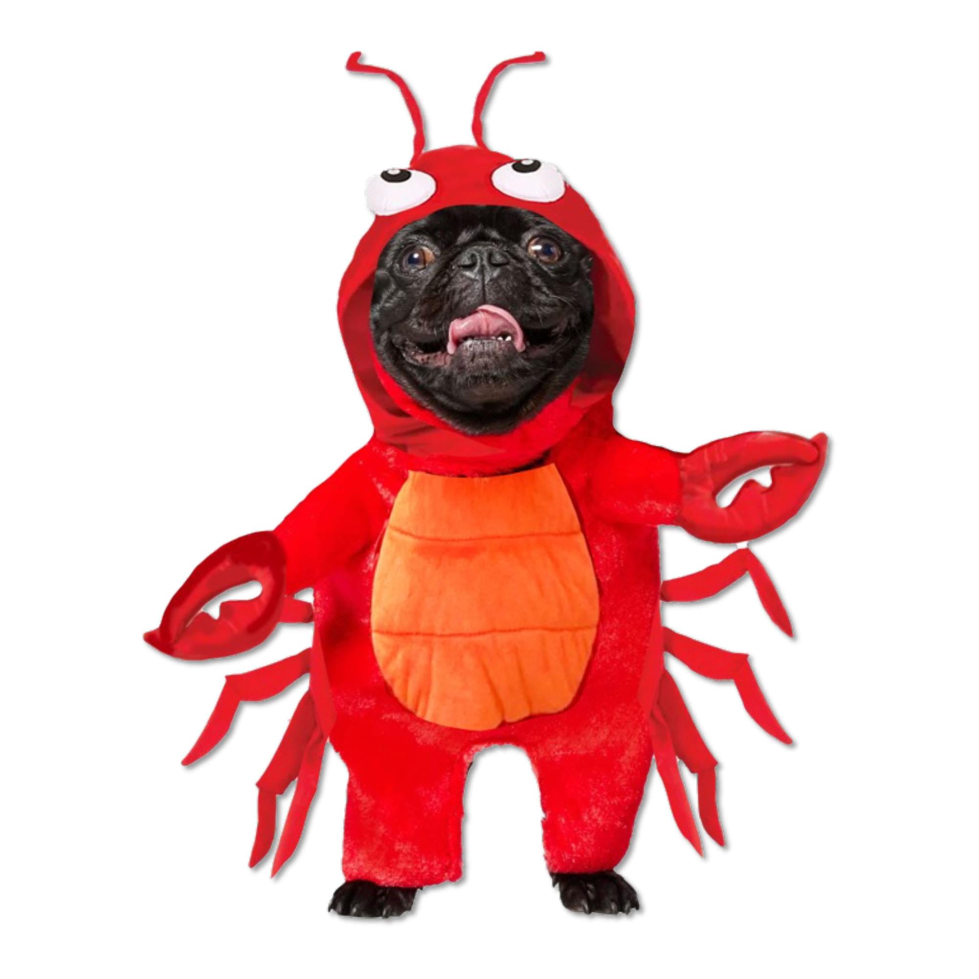 Lobster Pet Costume