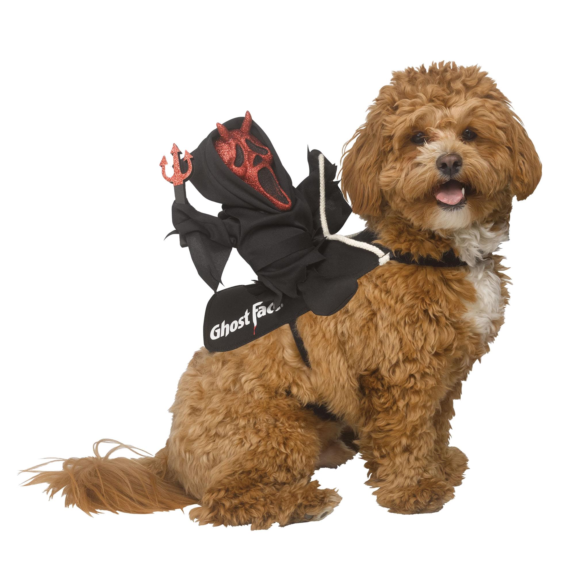 Ghost Face Devil Rider Pet Costume
