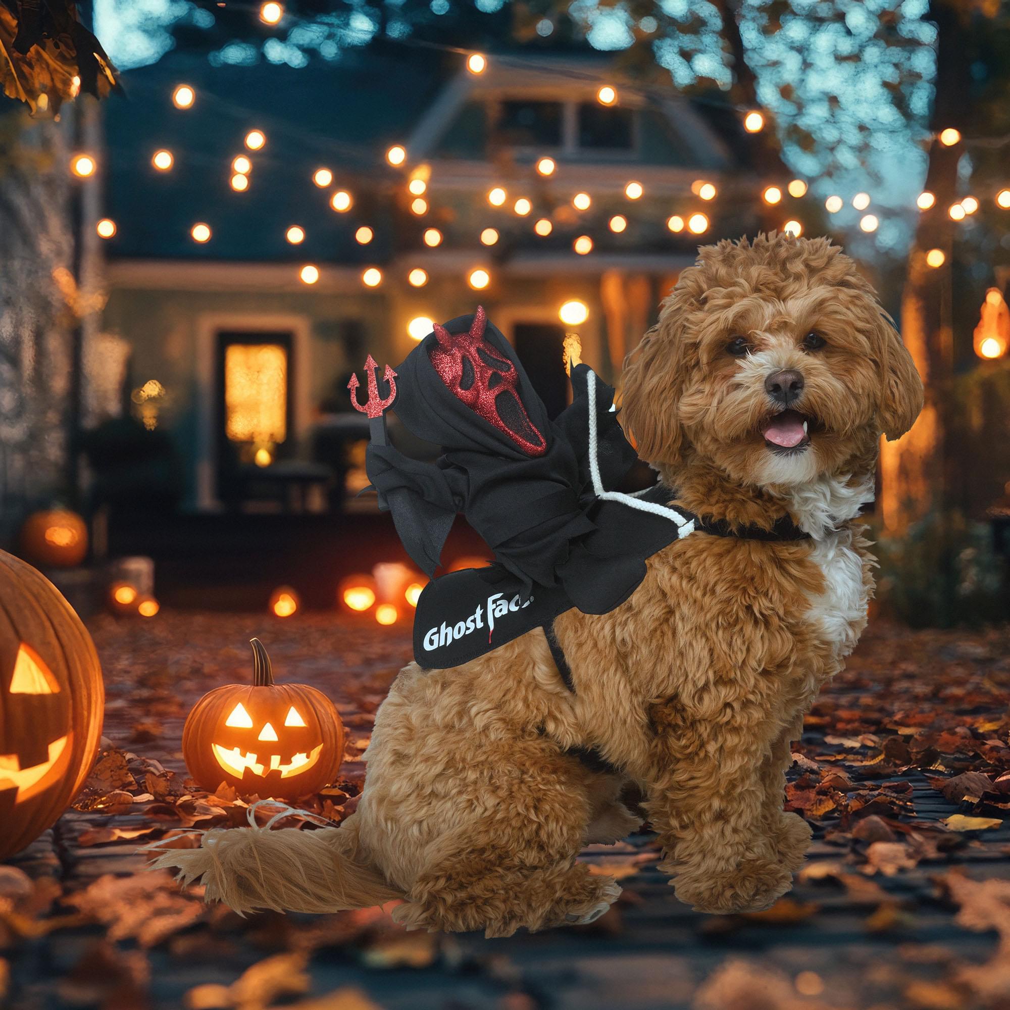 Ghost Face Devil Rider Pet Costume