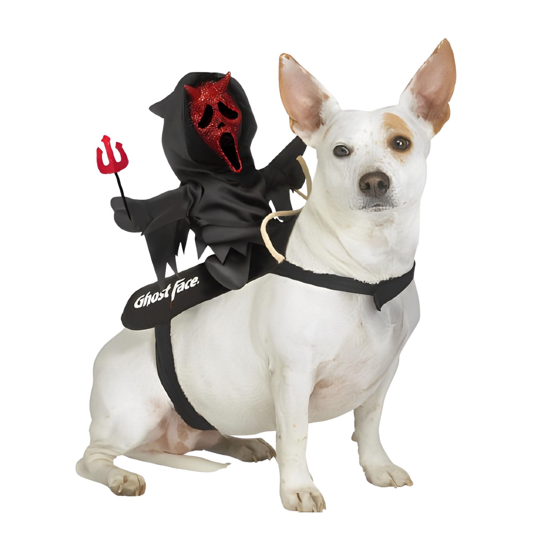 Ghost Face Devil Rider Pet Costume