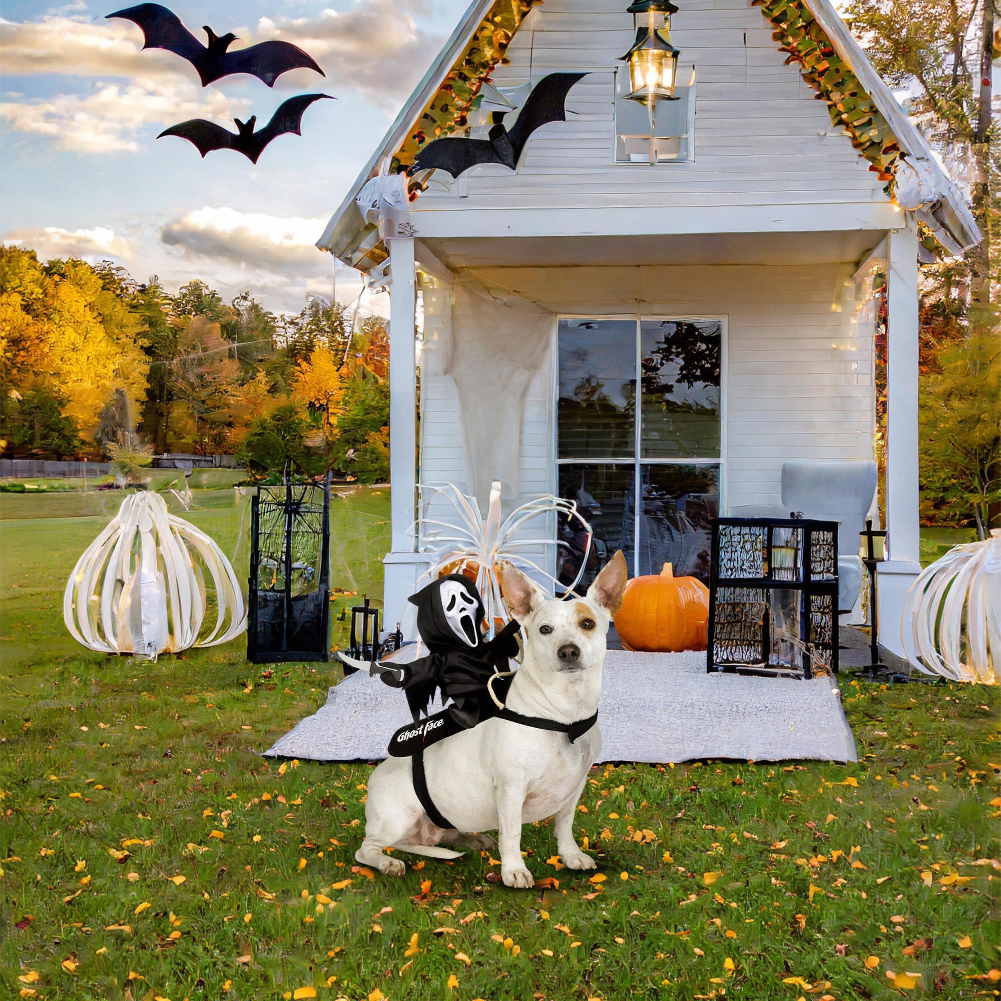 Ghost Face Rider Vest Pet Costume