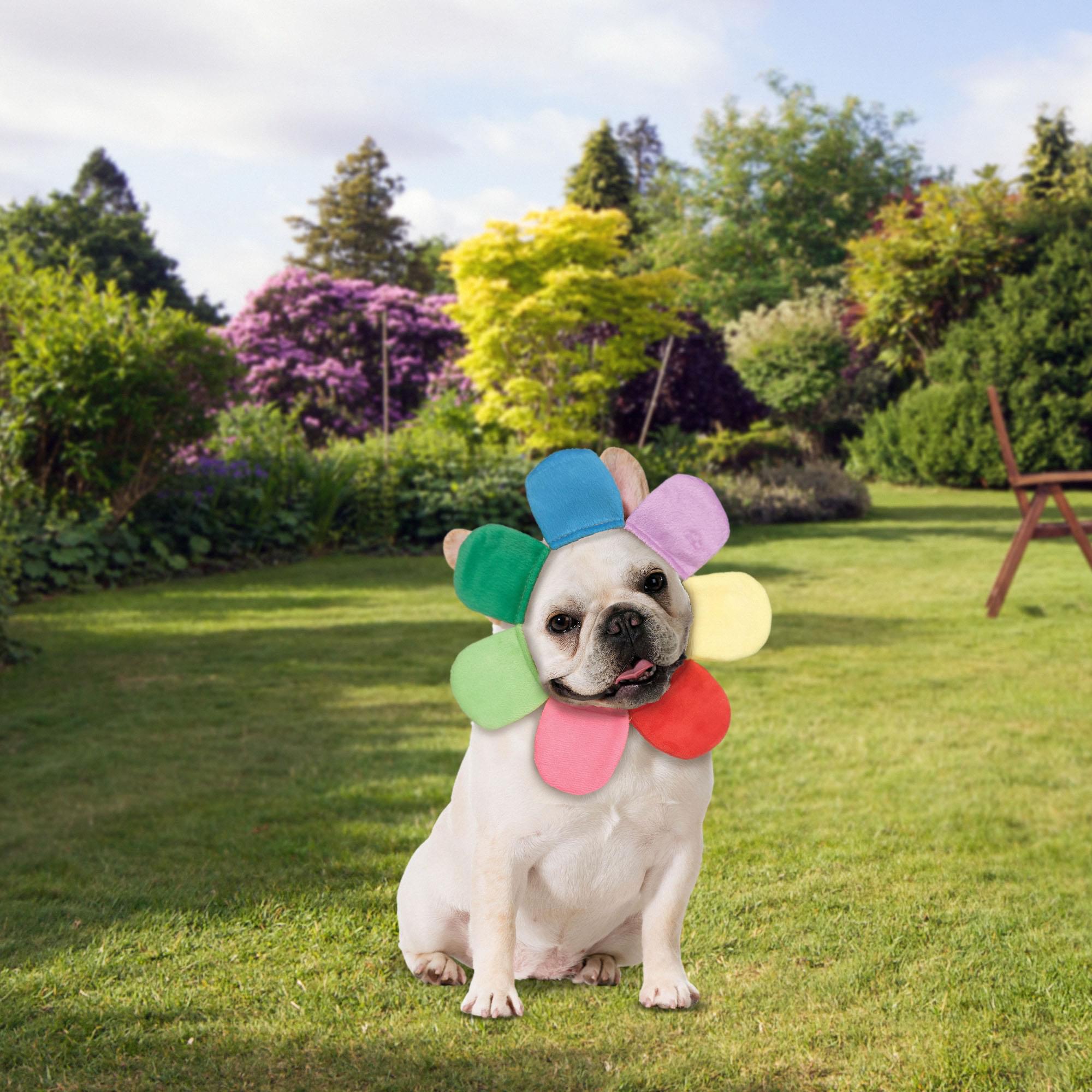 Flower Petal Hood Pet Costume