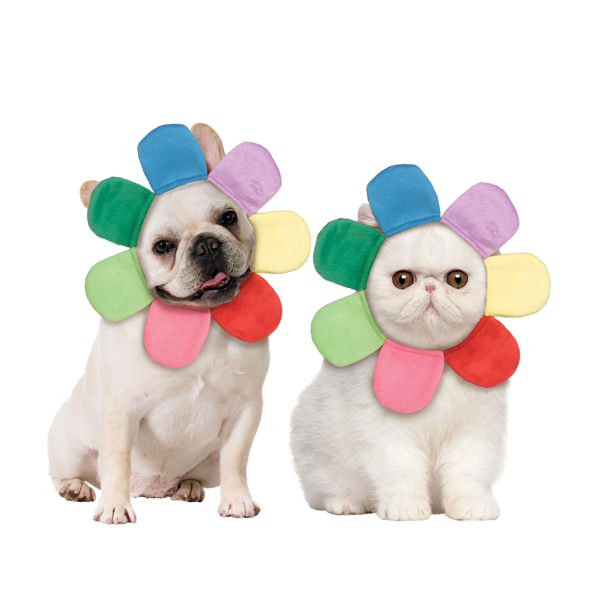 Flower Petal Hood Pet Costume