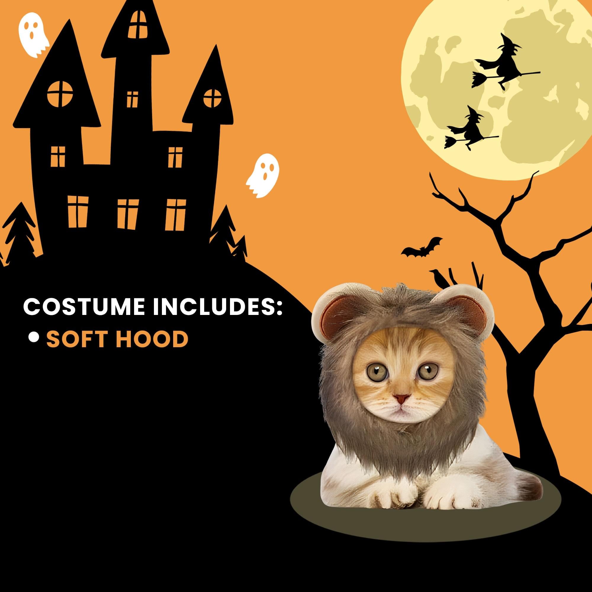 Lion Hood Pet Costume