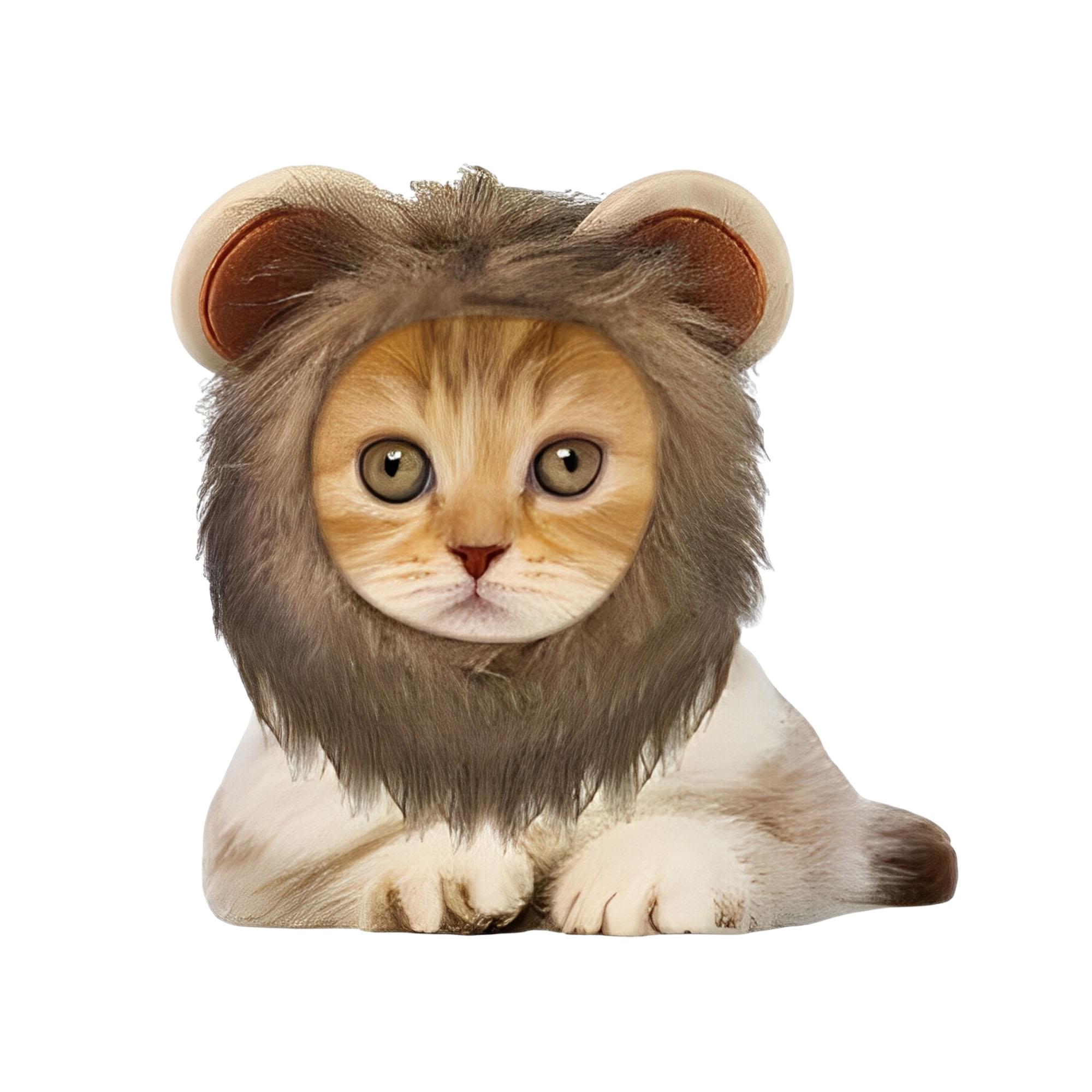 Lion Hood Pet Costume