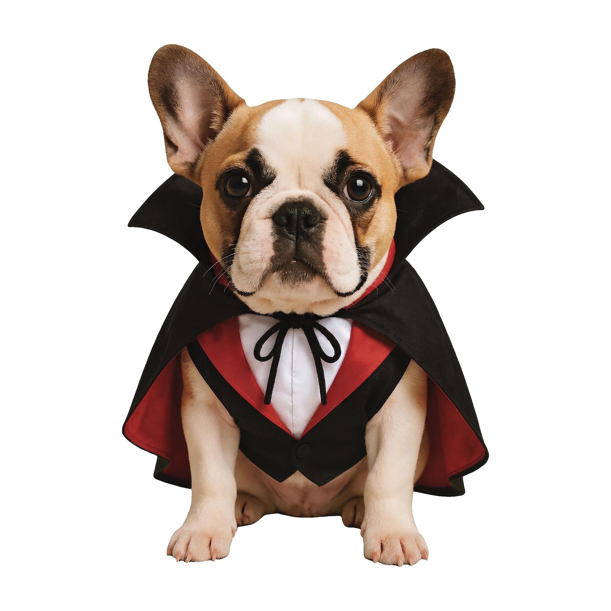 Dracula Pet Costume