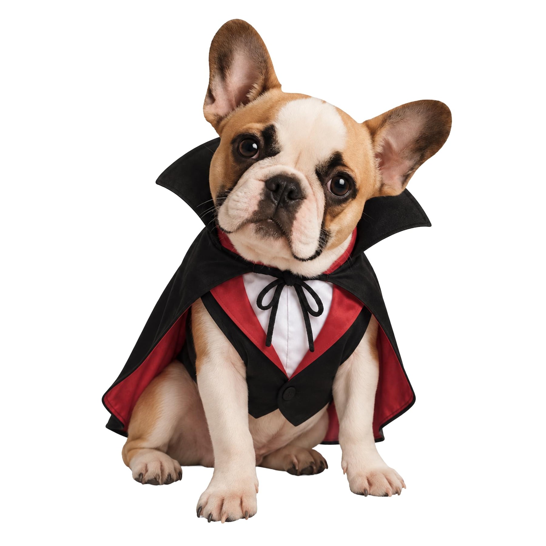 Dracula Pet Costume