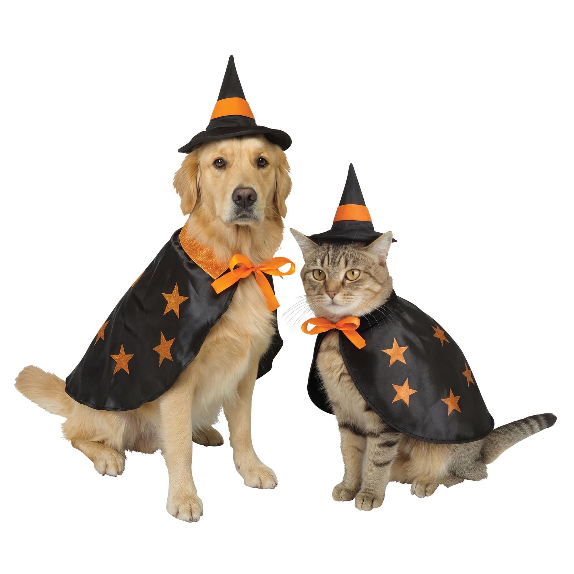 Witchy Pet Costume
