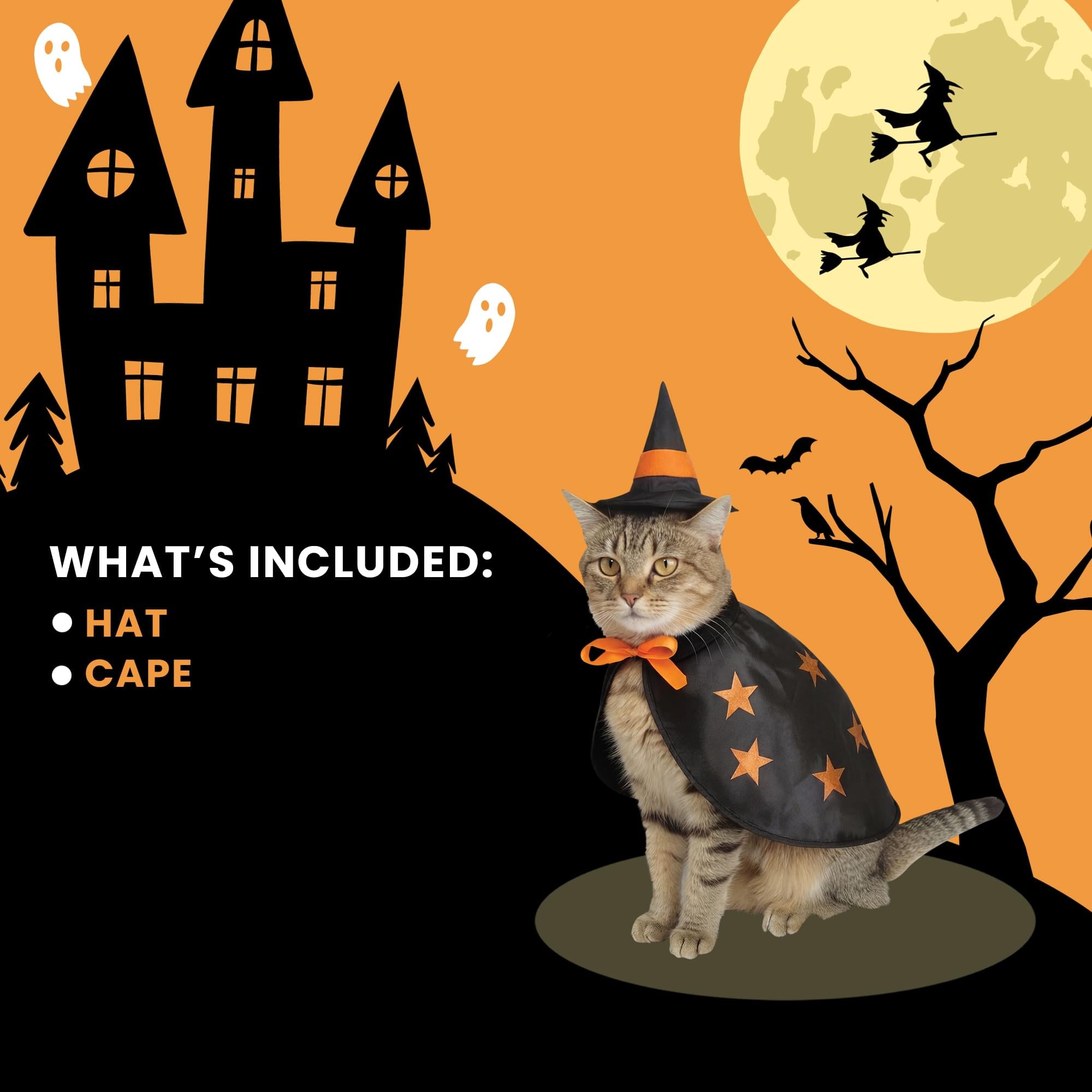 Witchy Pet Costume
