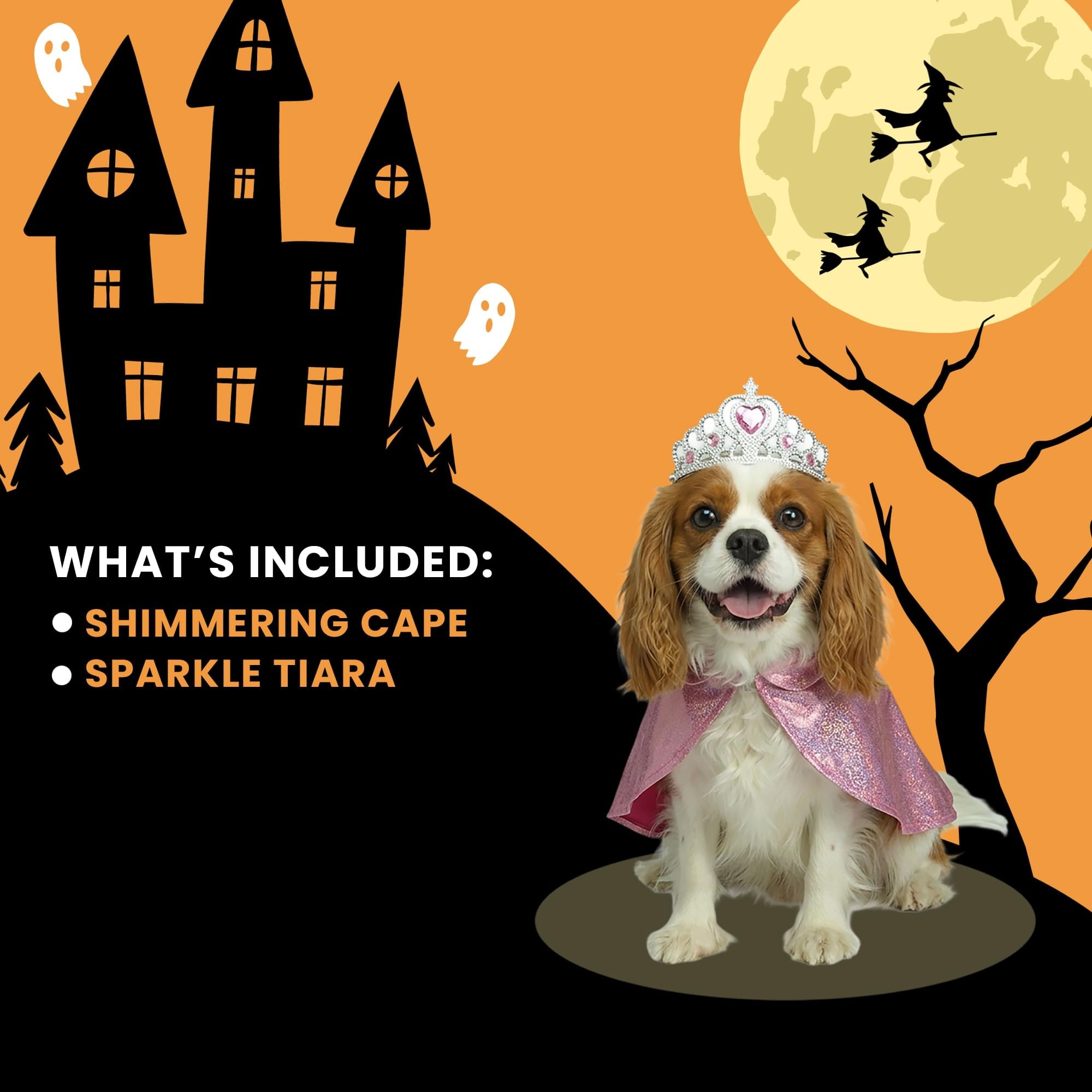 Princess Pet Costume