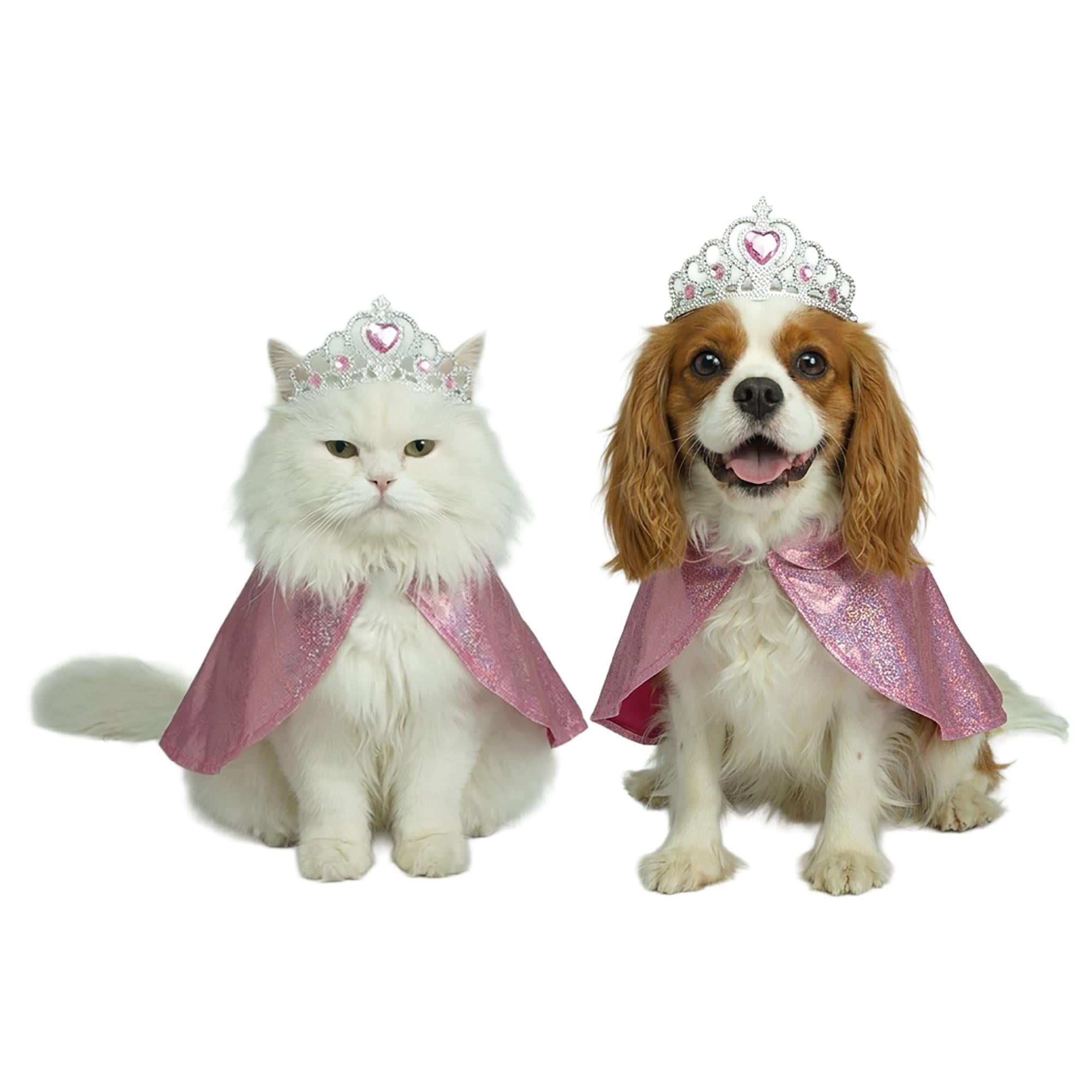 Princess Pet Costume