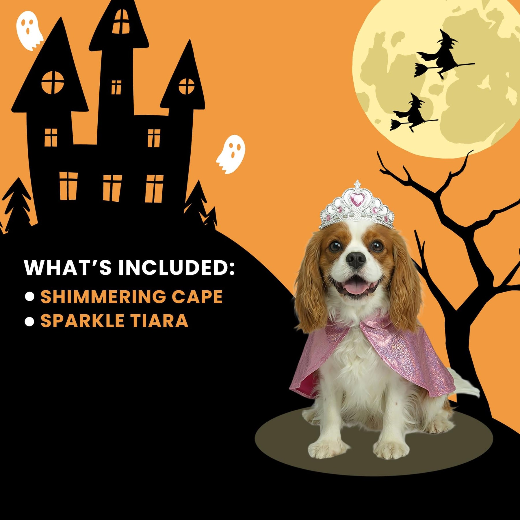 Princess Pet Costume
