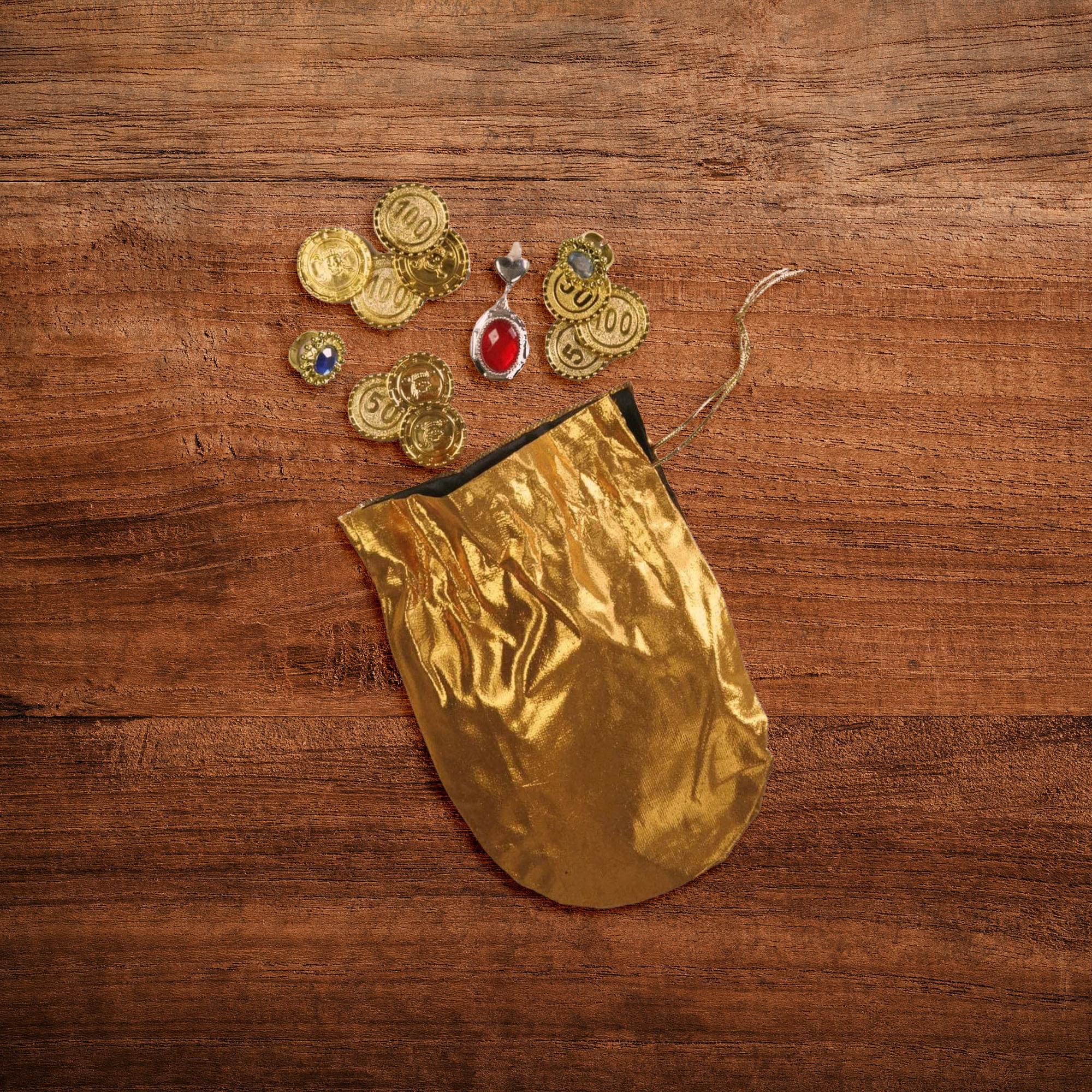 Desert Prince/Princess Coin And Jewel Pouch Costume Accessory