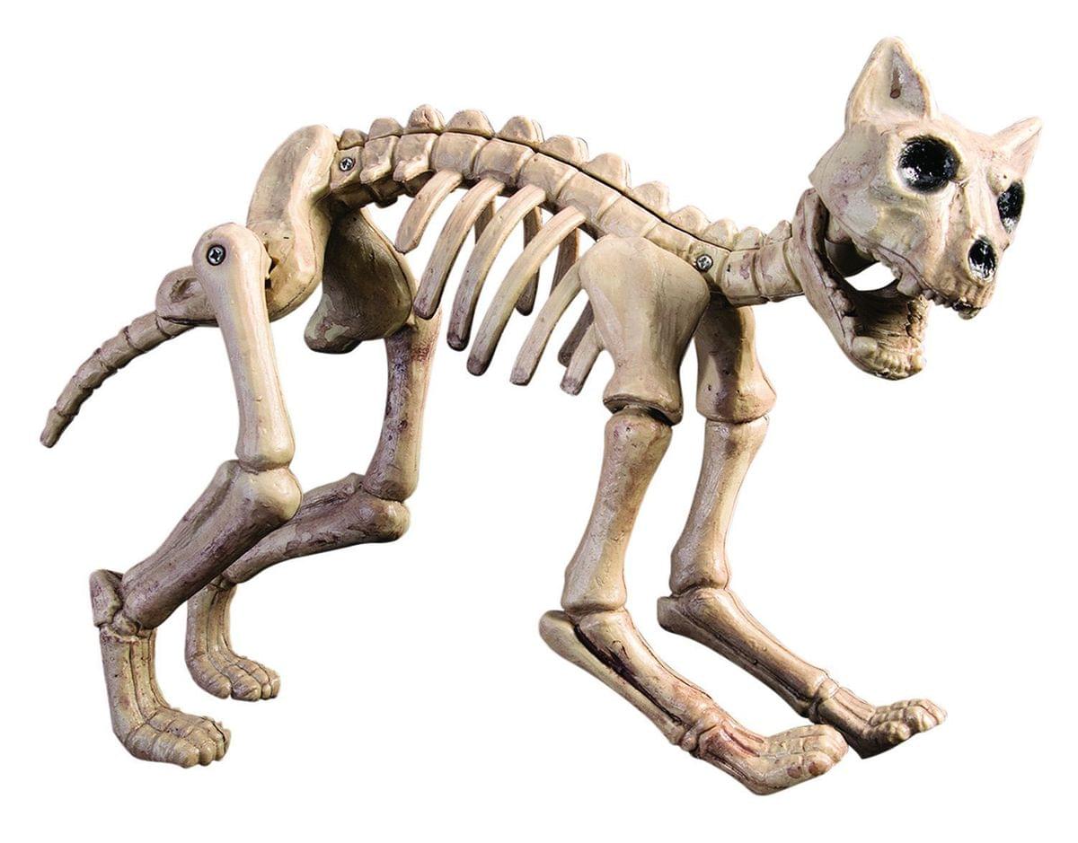 Skeleton Cat Halloween Decoration Prop