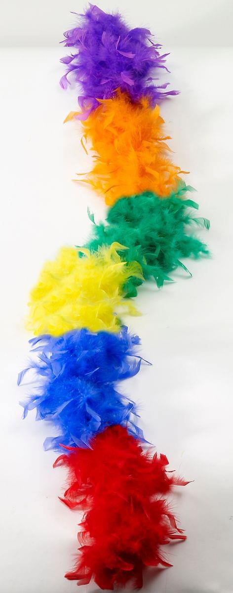 Feather Costume Boa Rainbow