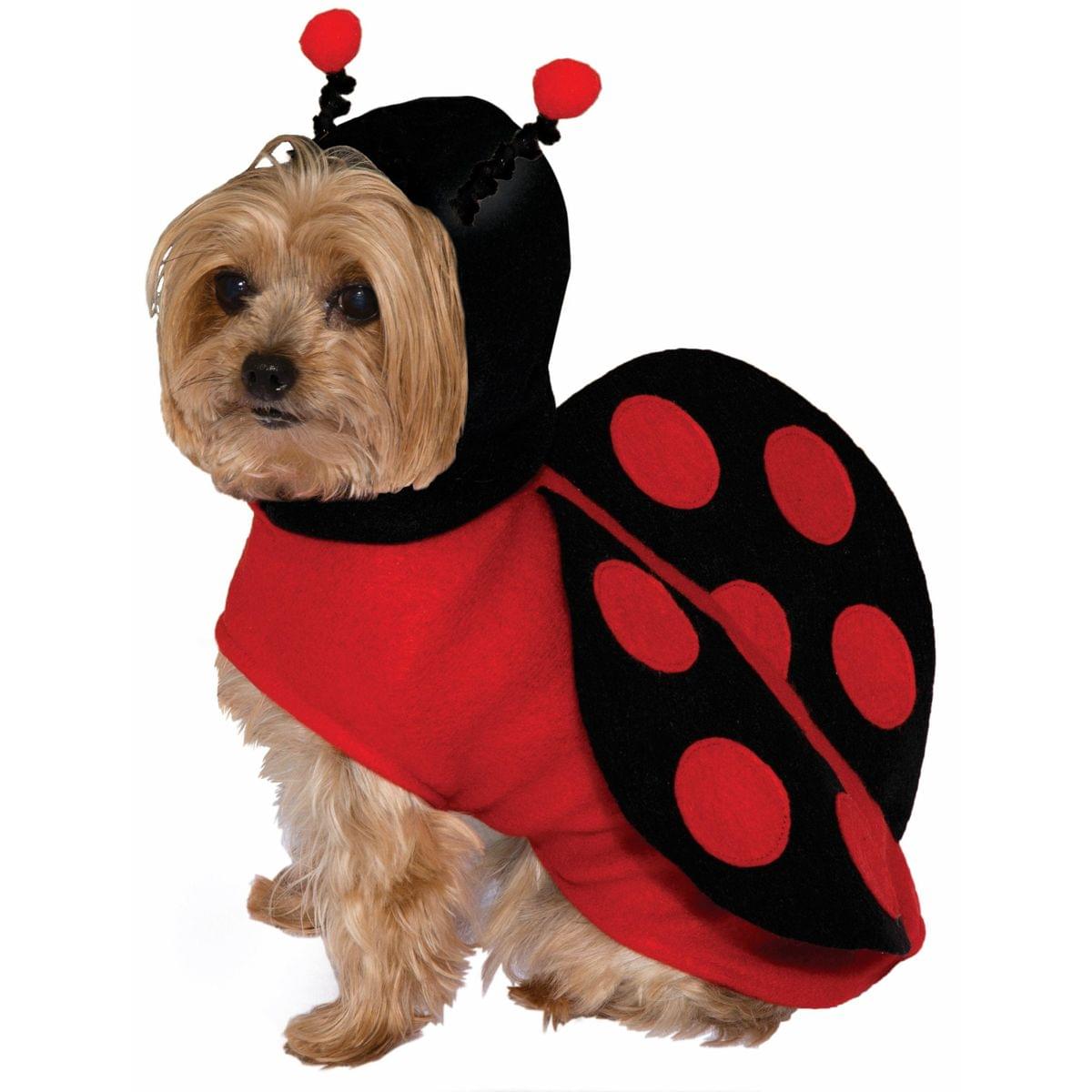 Lady Bug Pet Costume