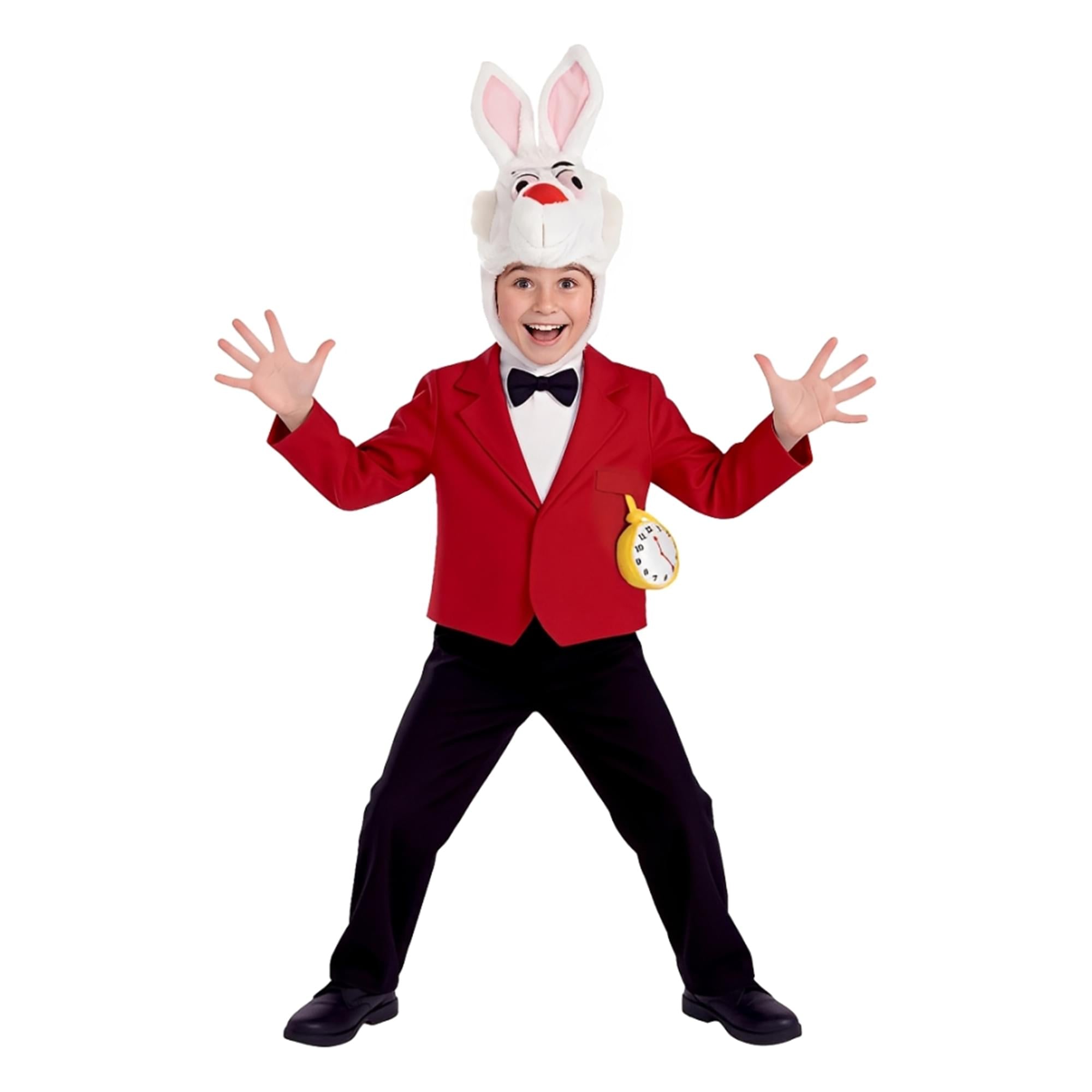 Mister Rabbit Child Costume