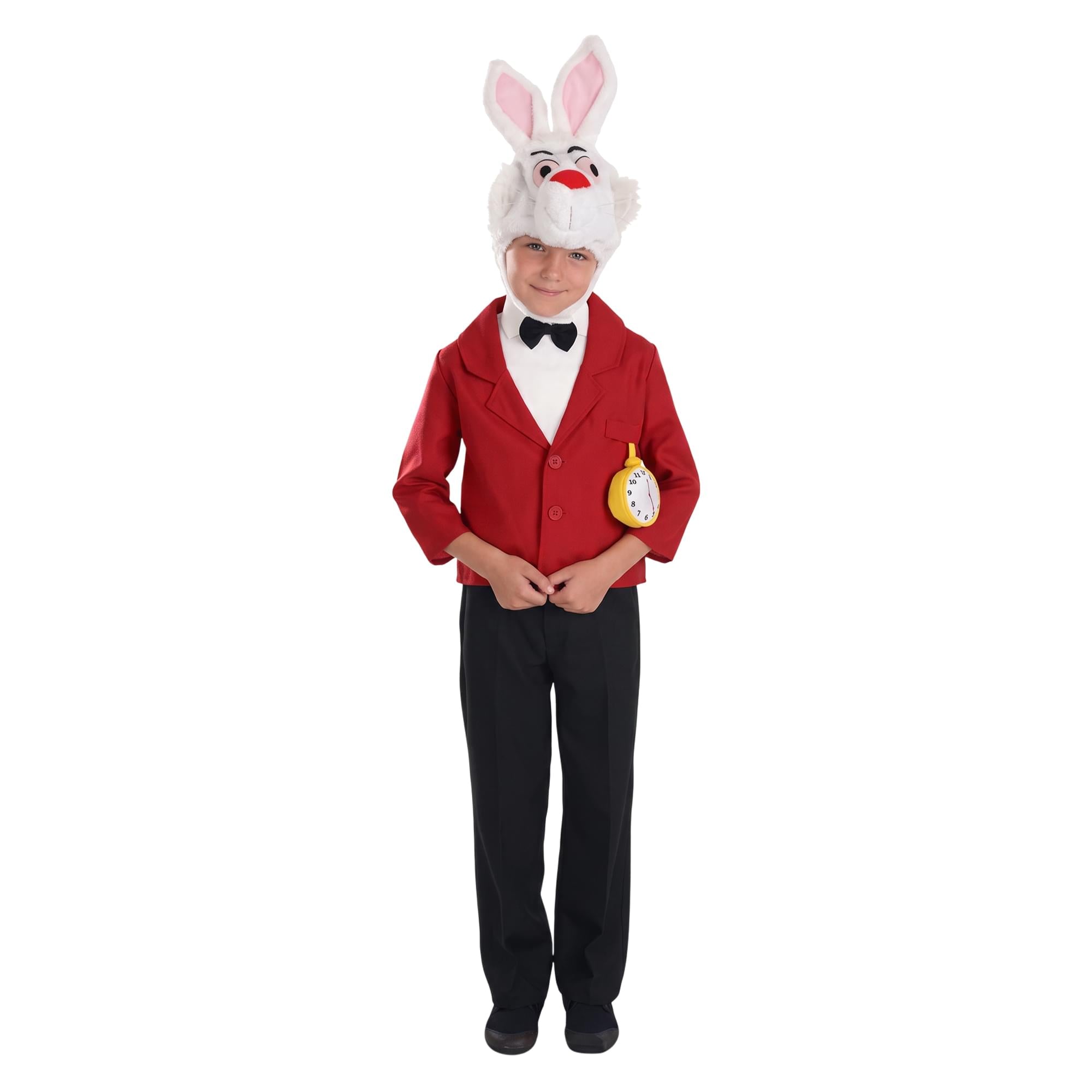 Mister Rabbit Child Costume