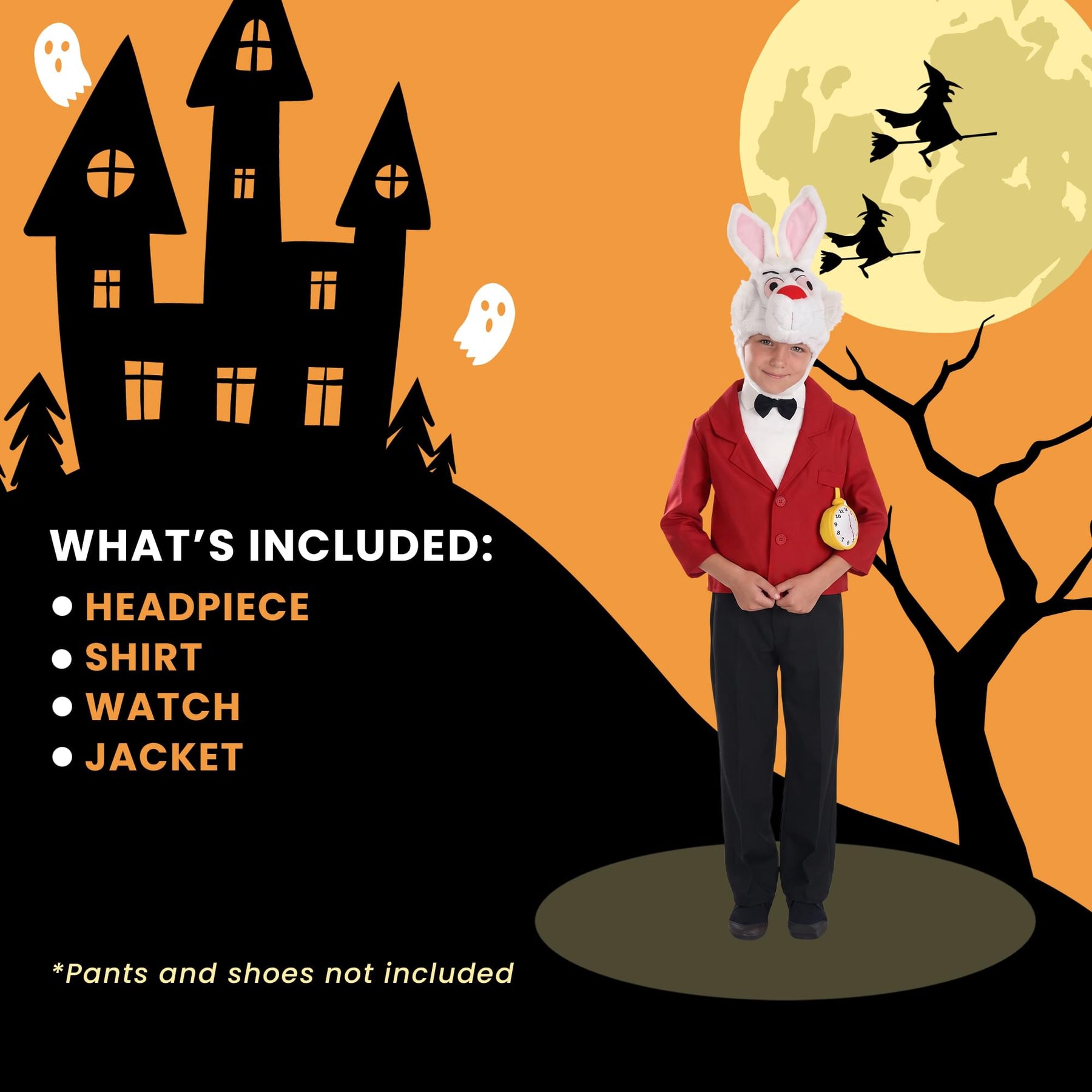 Mister Rabbit Child Costume