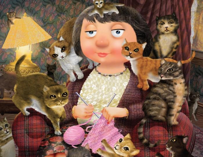 The Secret of the Cat Lady Book