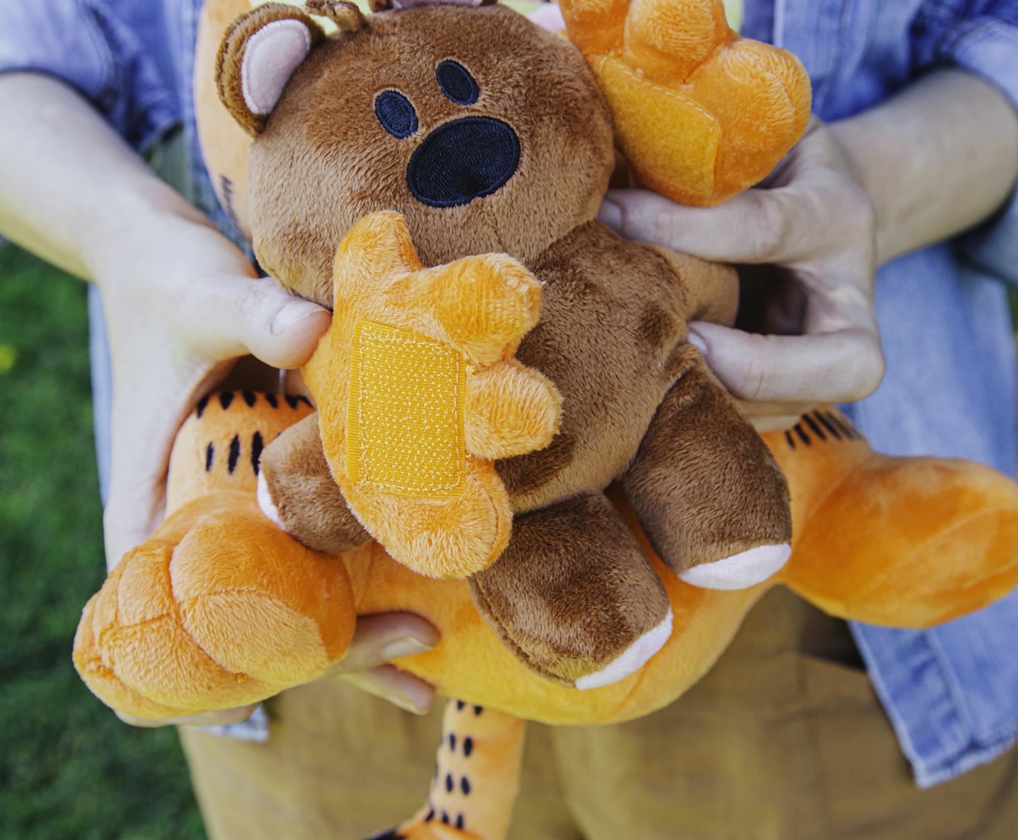 Garfield Holding Pooky 12-Inch Collector Plush
