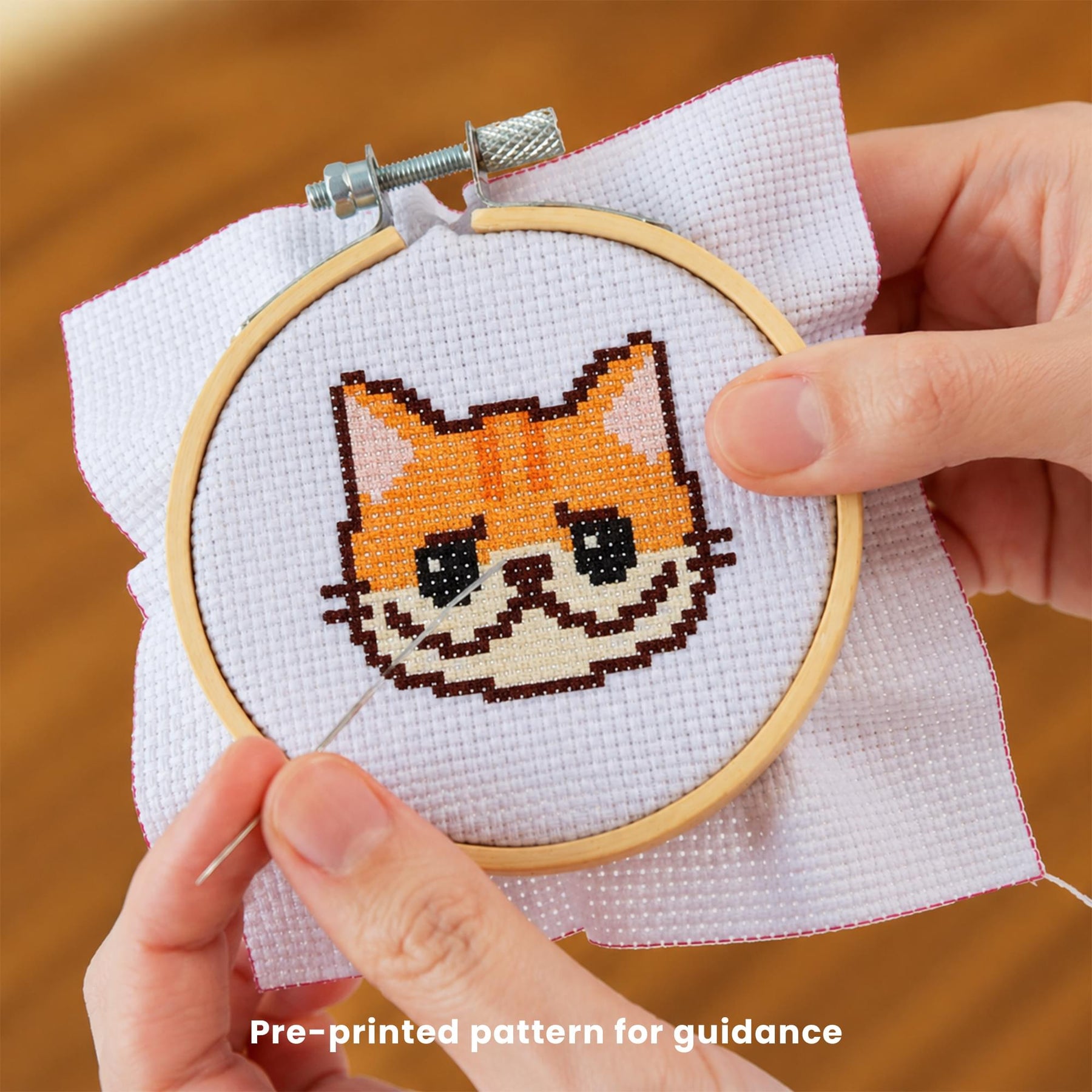 Sweet & Sour Cat Cross Stitch Embroidery Kit