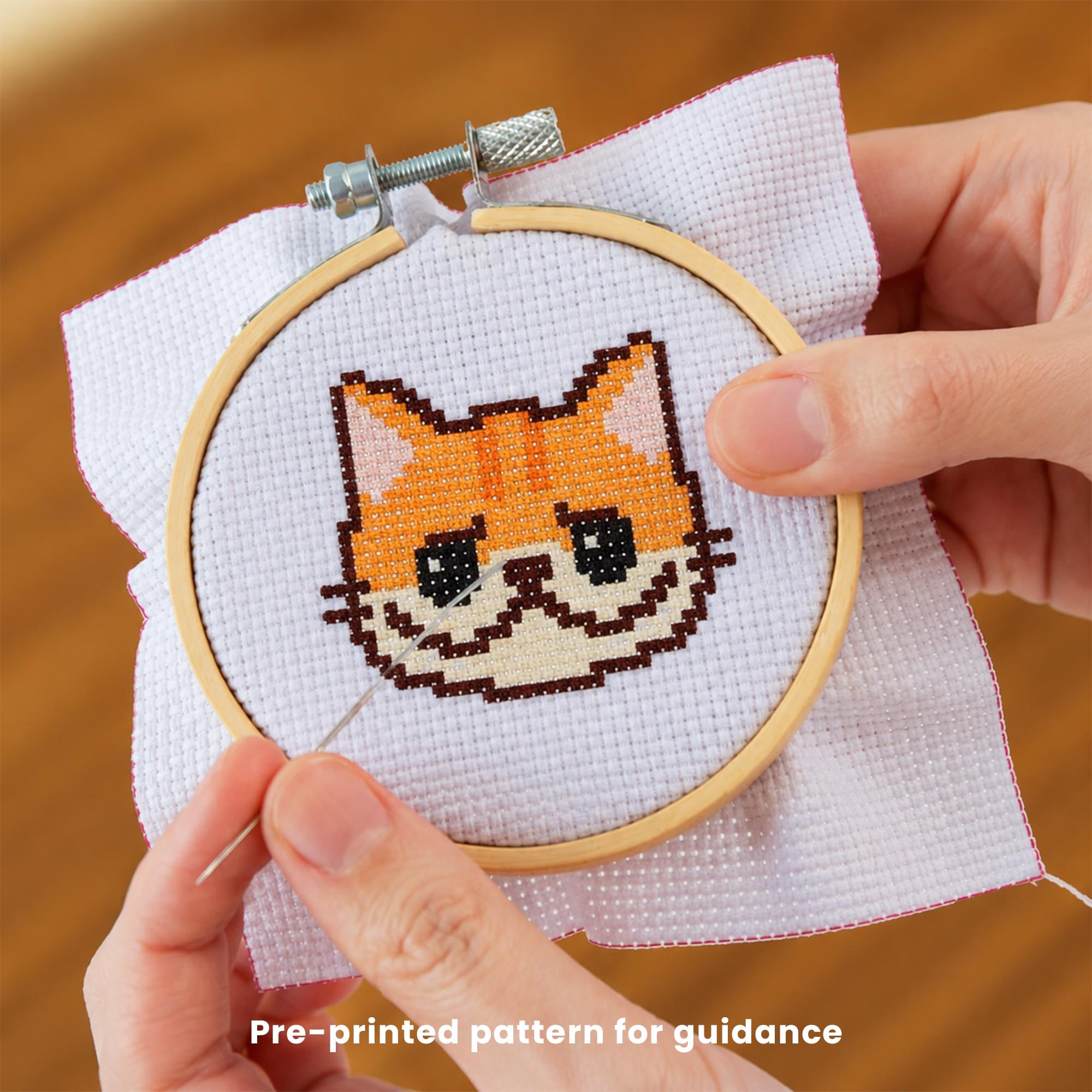 Sweet & Sour Cat Cross Stitch Embroidery Kit