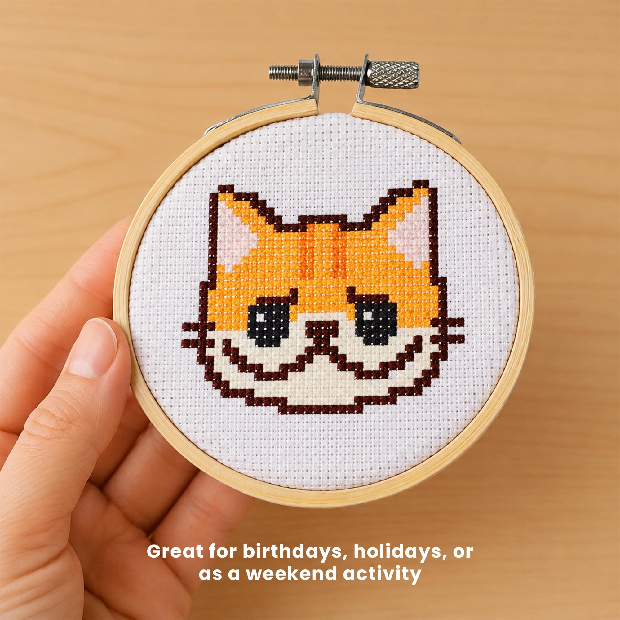 Sweet & Sour Cat Cross Stitch Embroidery Kit